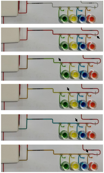 Biosensors 12 00280 g0a4 550