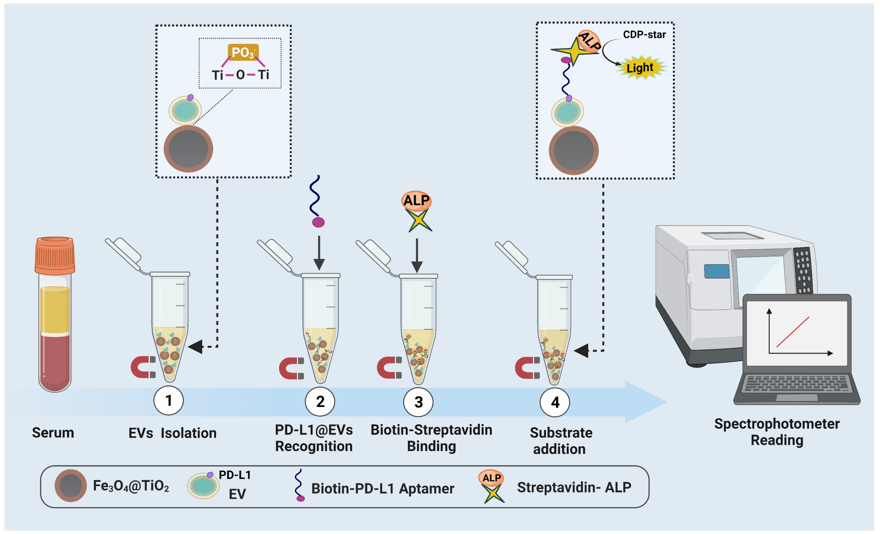 Biosensors 12 00281 g001