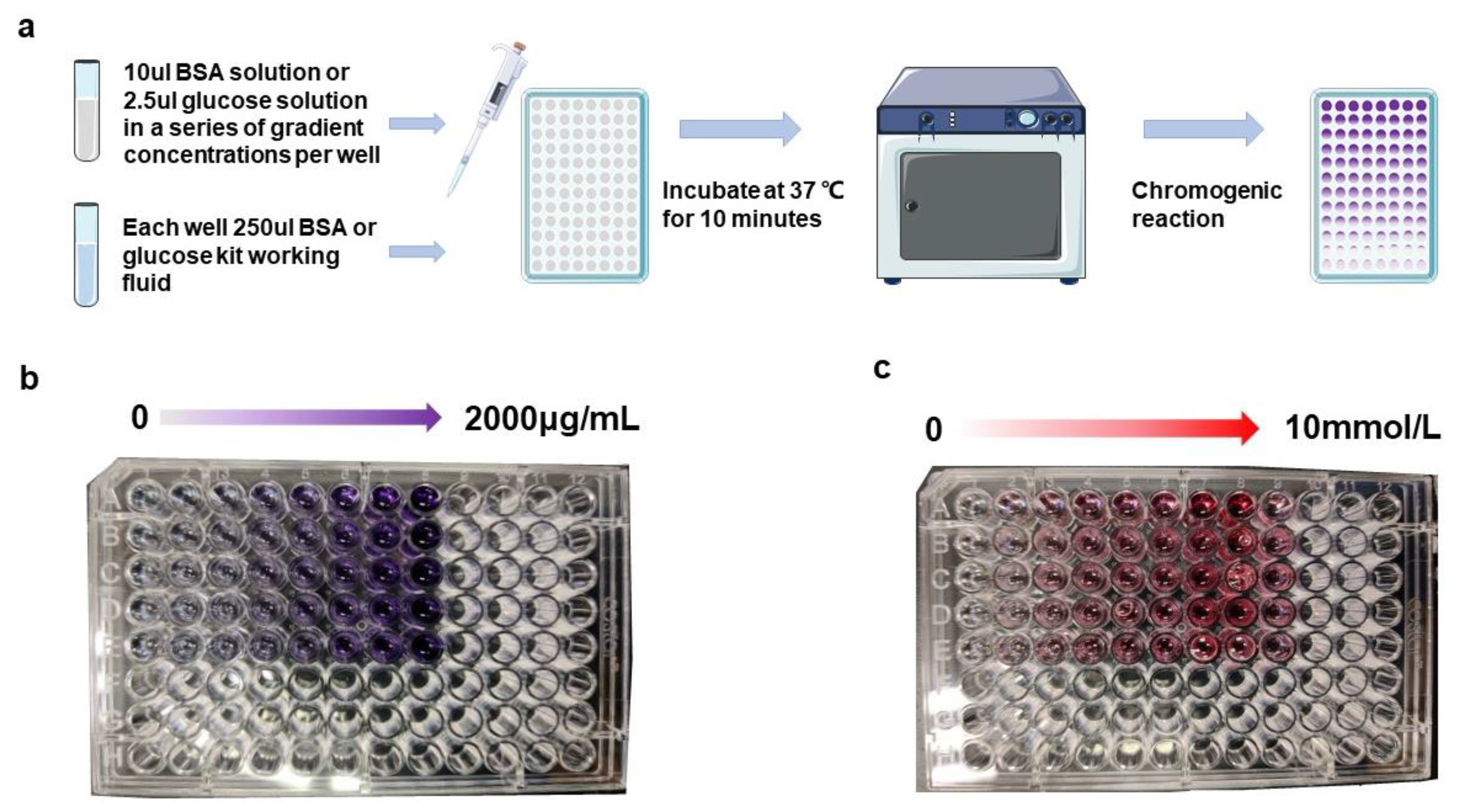 Biosensors 12 00284 g003