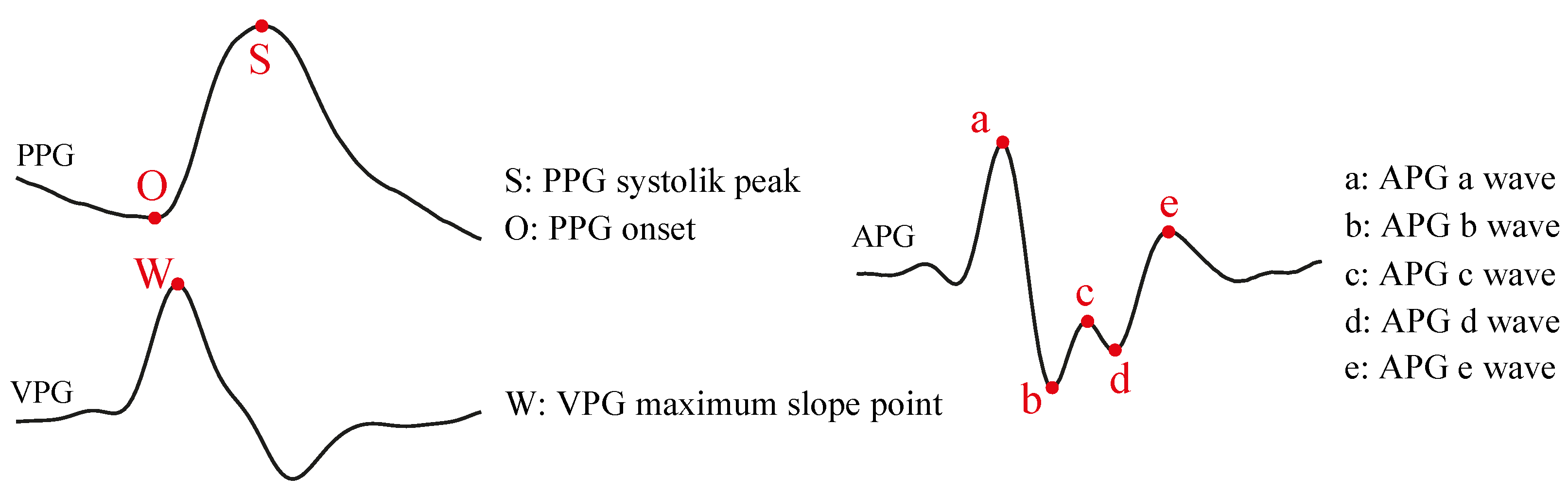 Biosensors 12 00289 g001