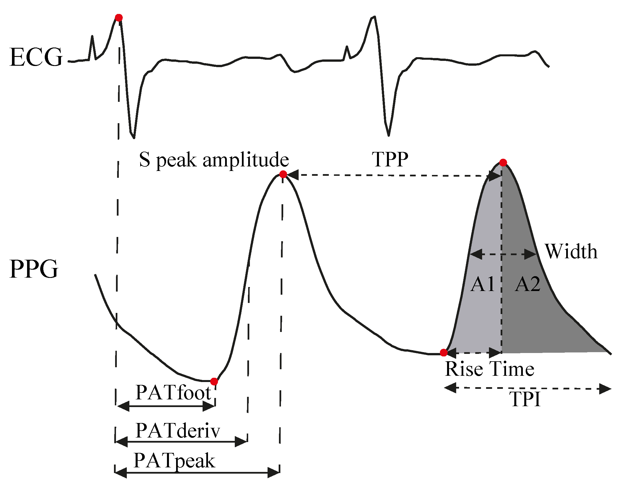 Biosensors 12 00289 g002