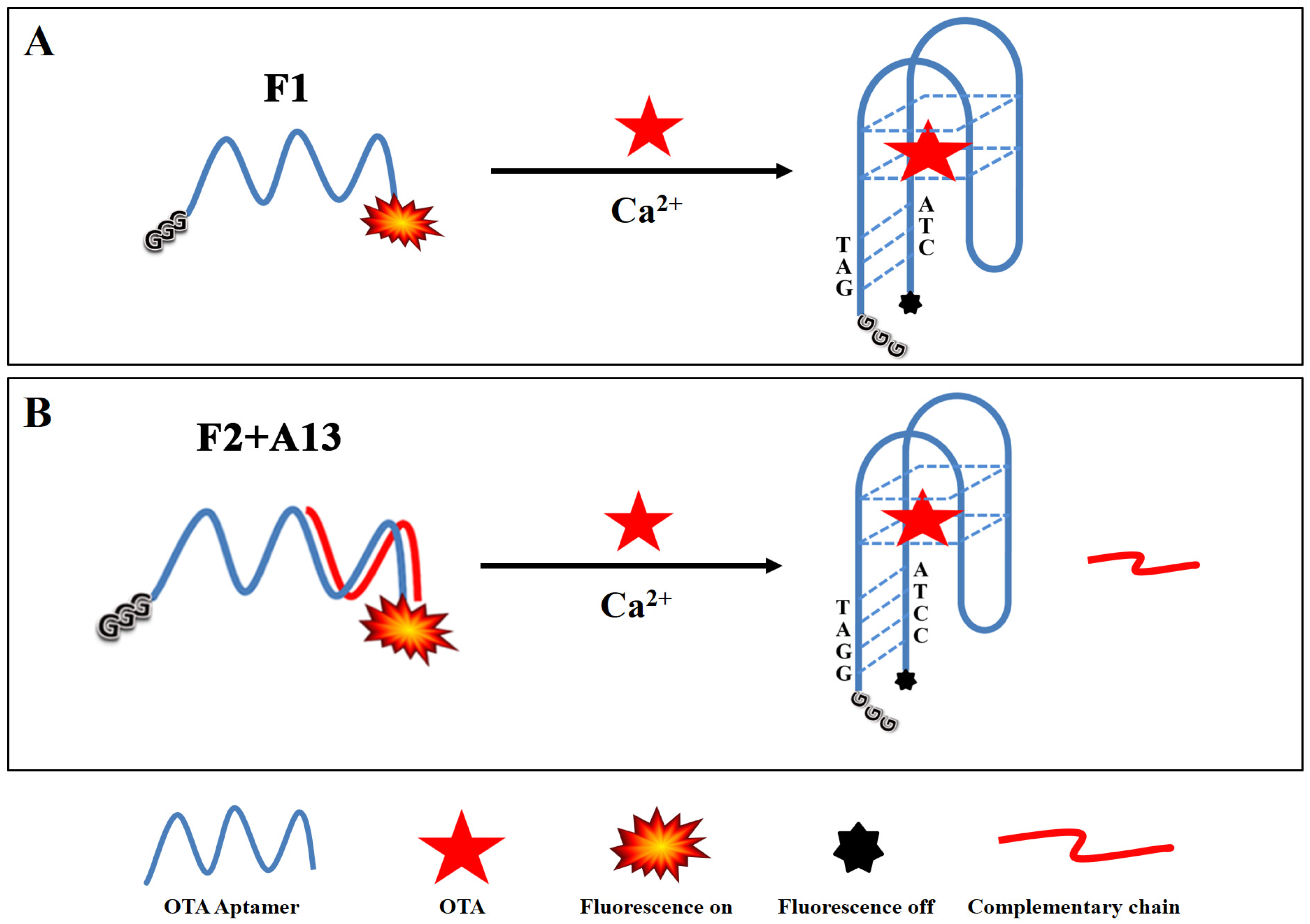 Biosensors 12 00297 sch001