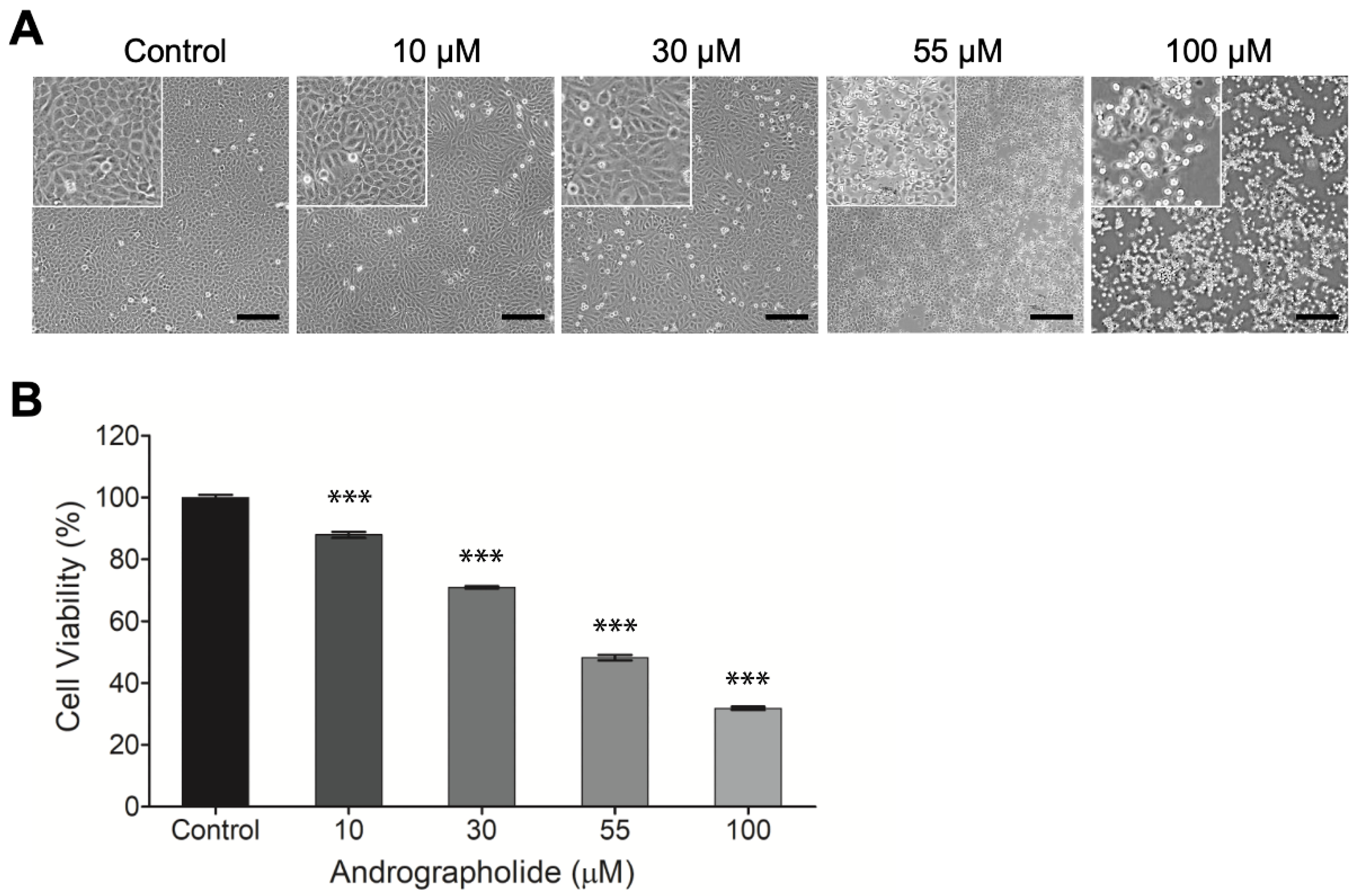 Biosensors 12 00304 g001