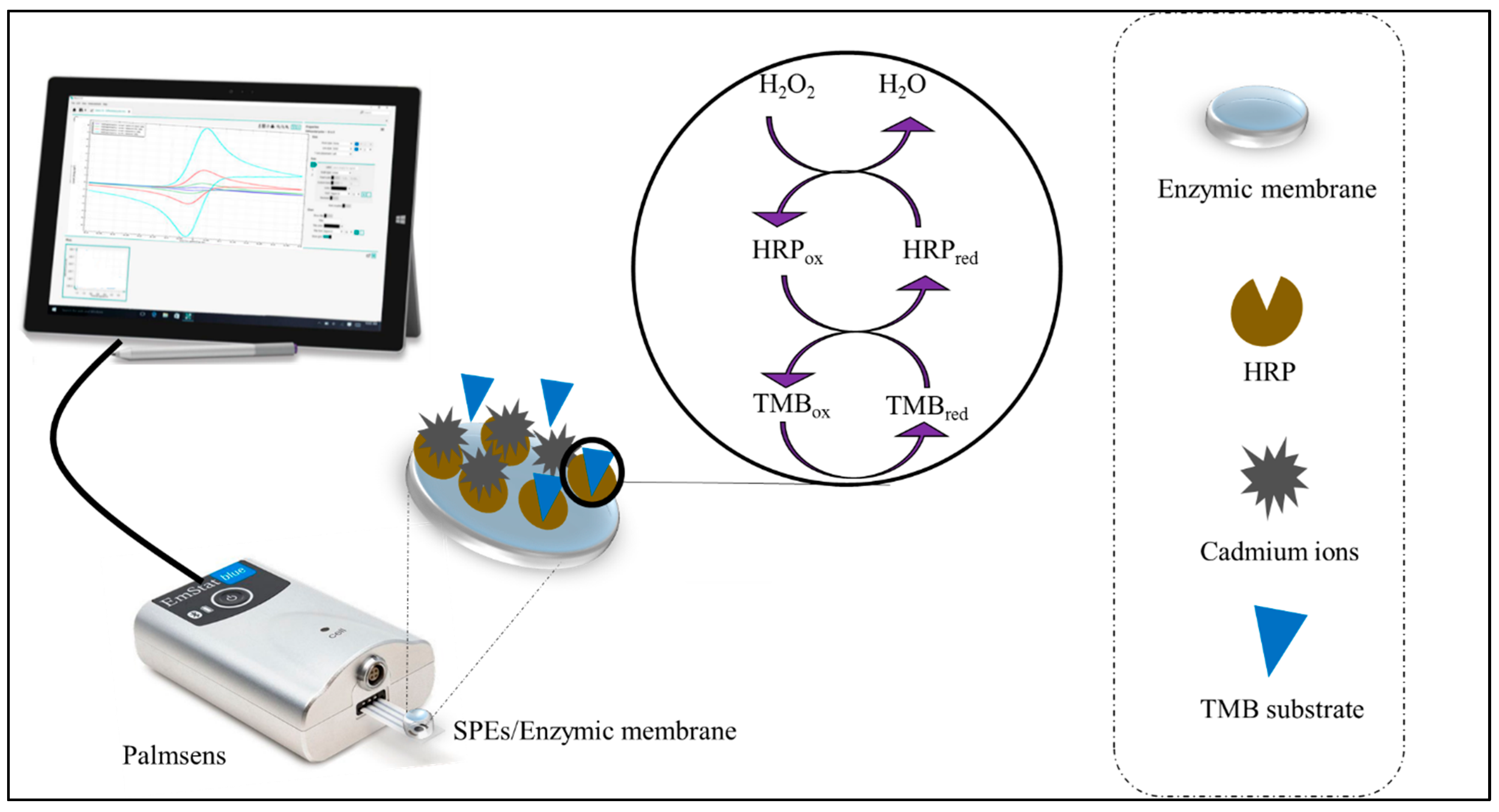 Biosensors 12 00310 sch001