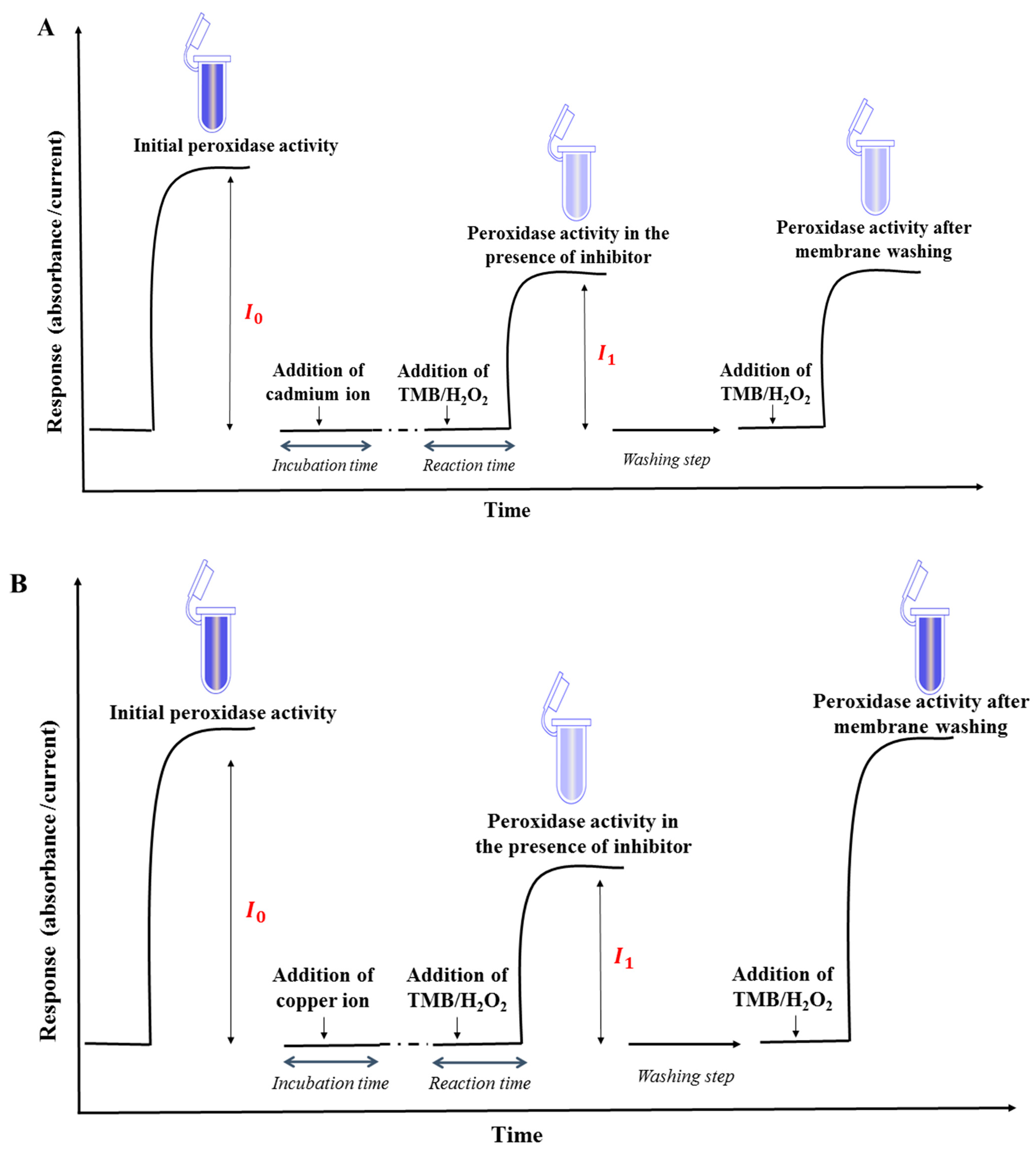 Biosensors 12 00310 sch002