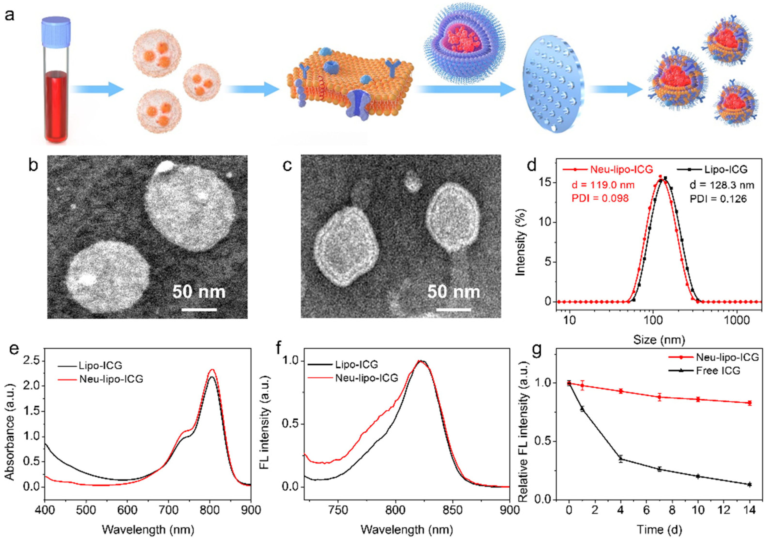 Biosensors 12 00311 g001