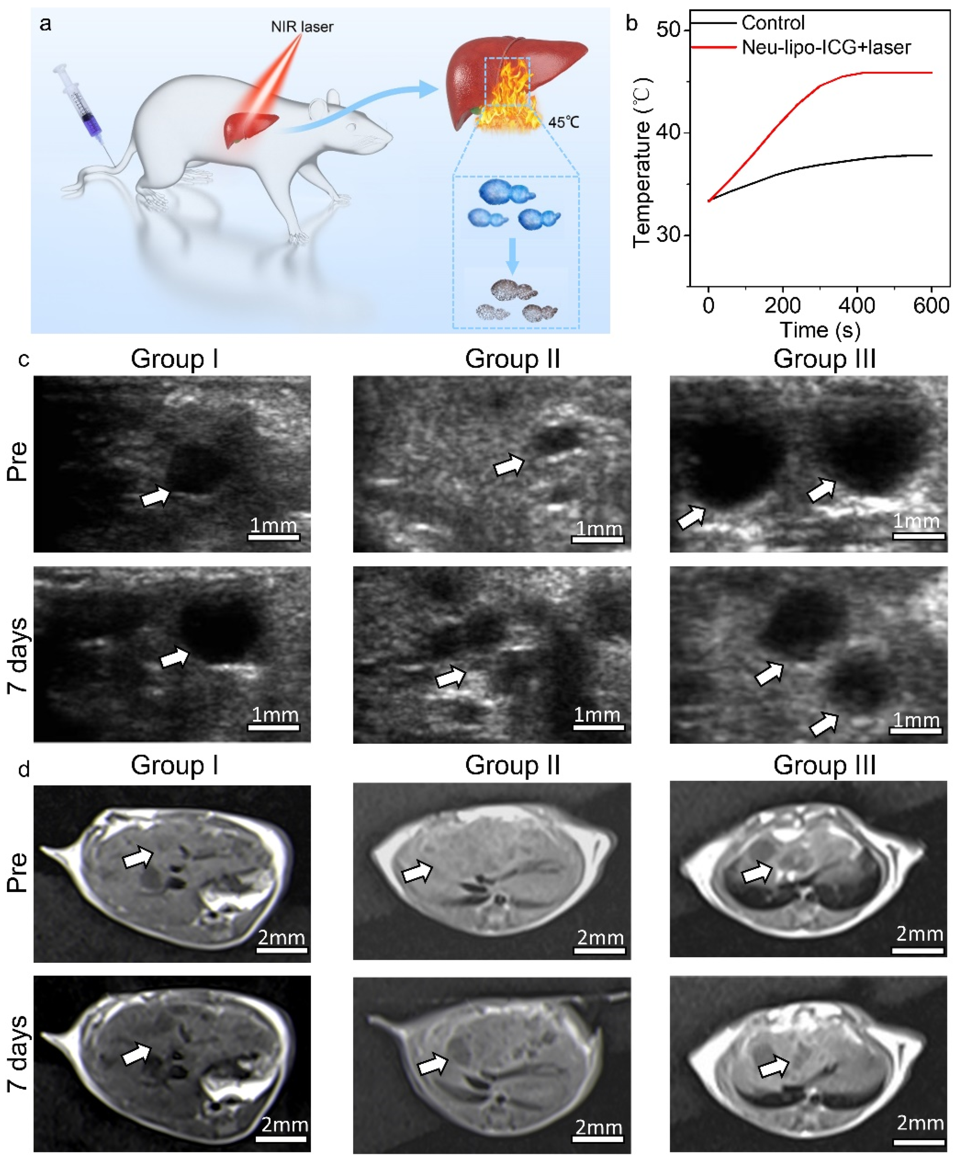 Biosensors 12 00311 g005