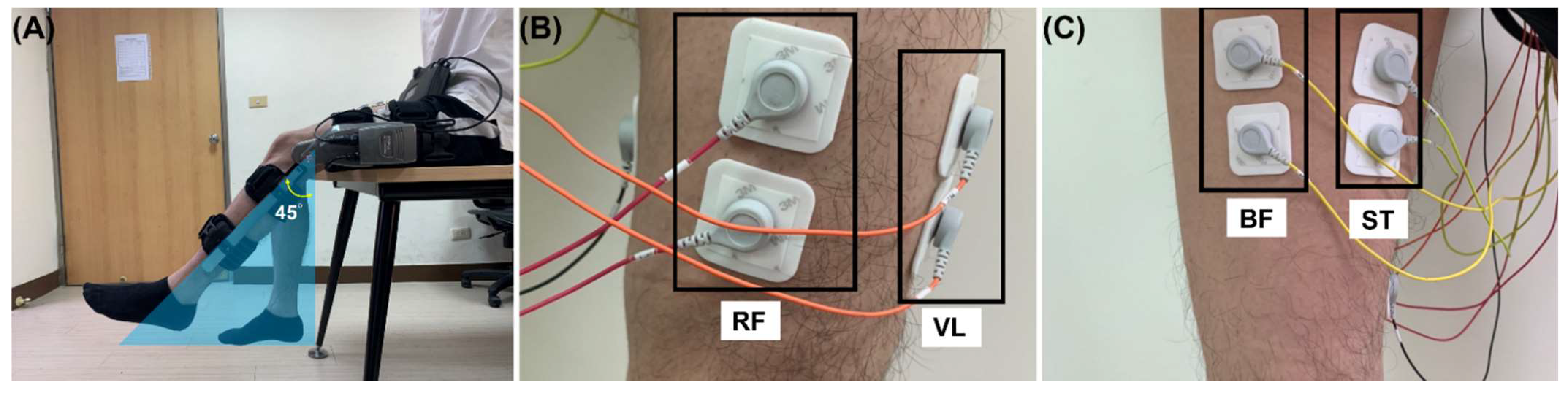 Biosensors 12 00312 g002