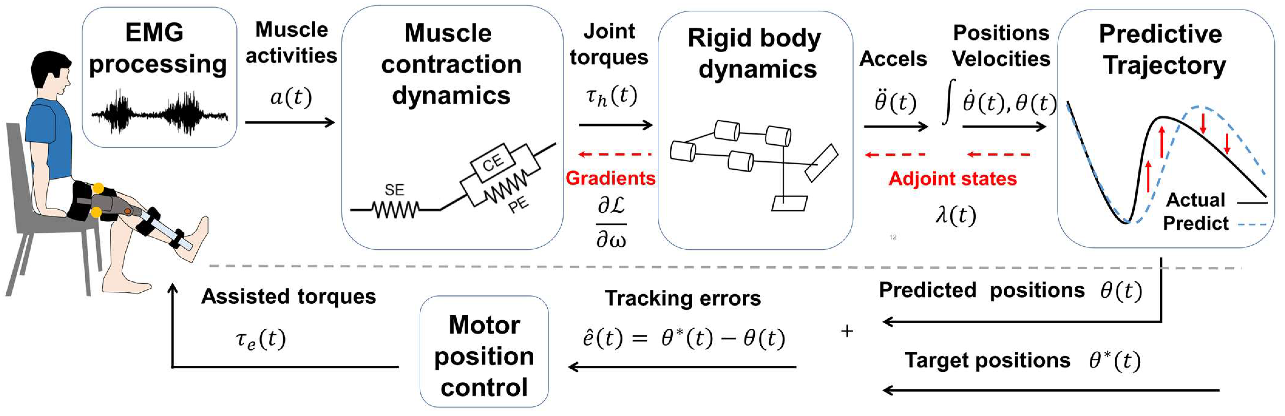 Biosensors 12 00312 g003