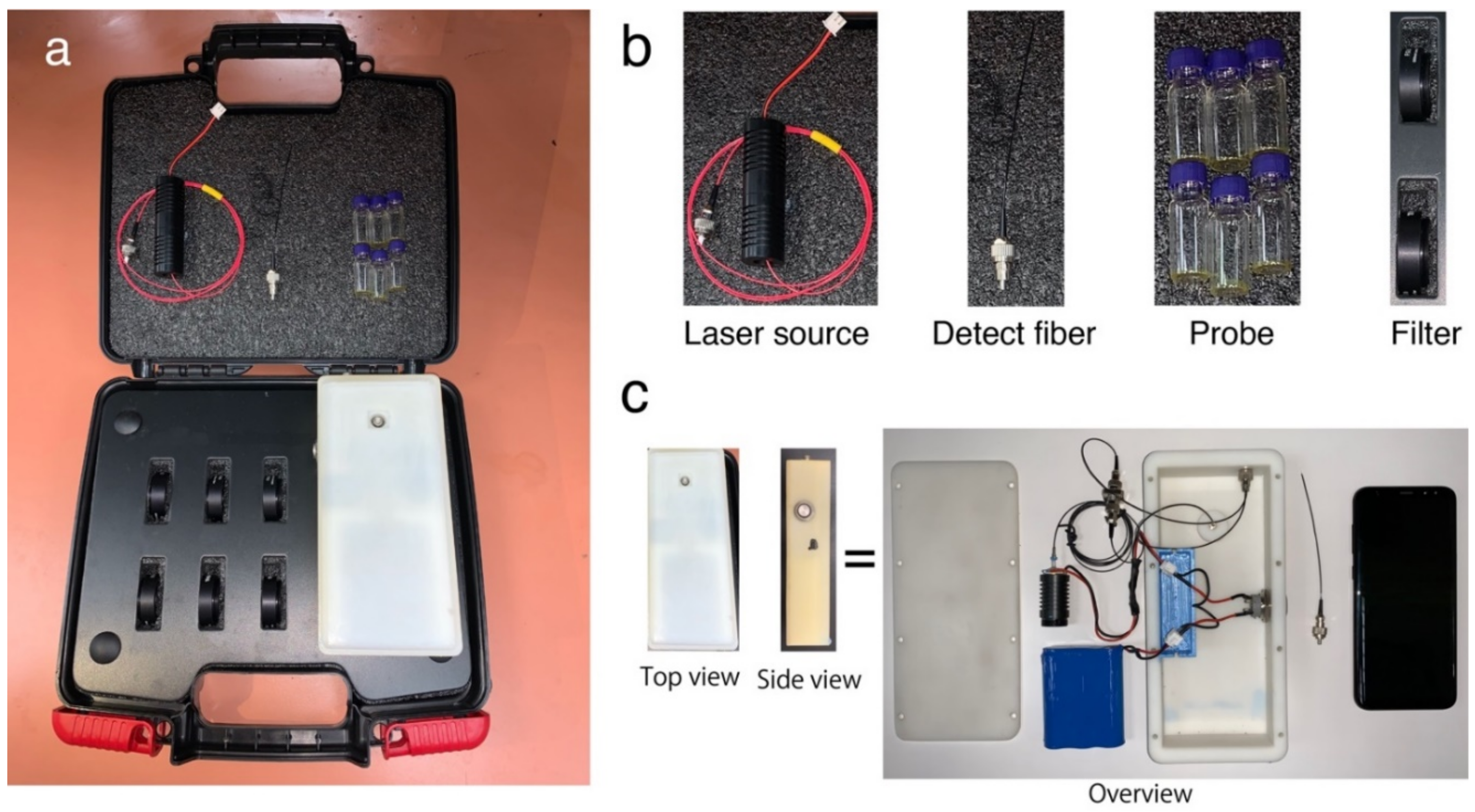 Biosensors 12 00316 g001