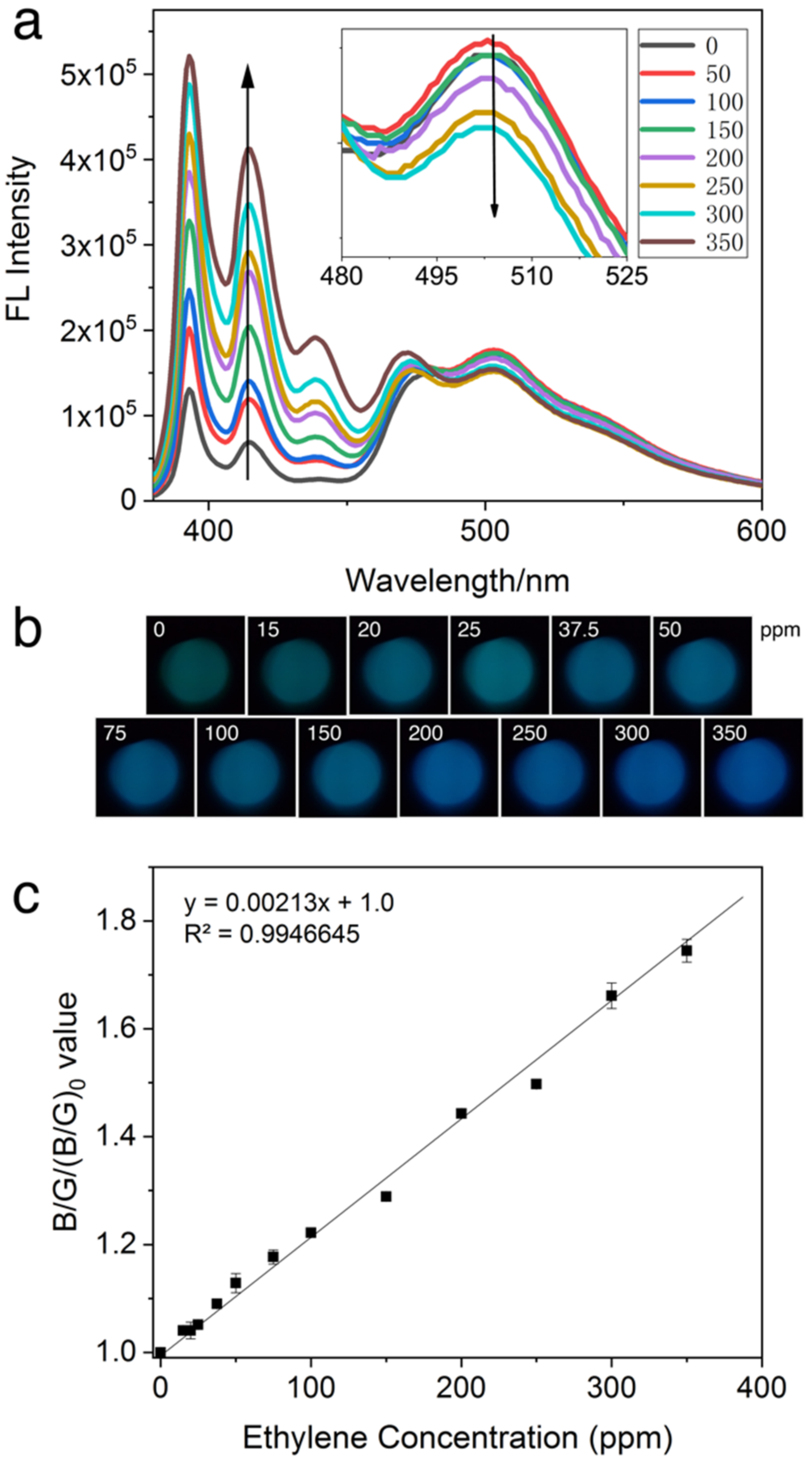 Biosensors 12 00316 g004