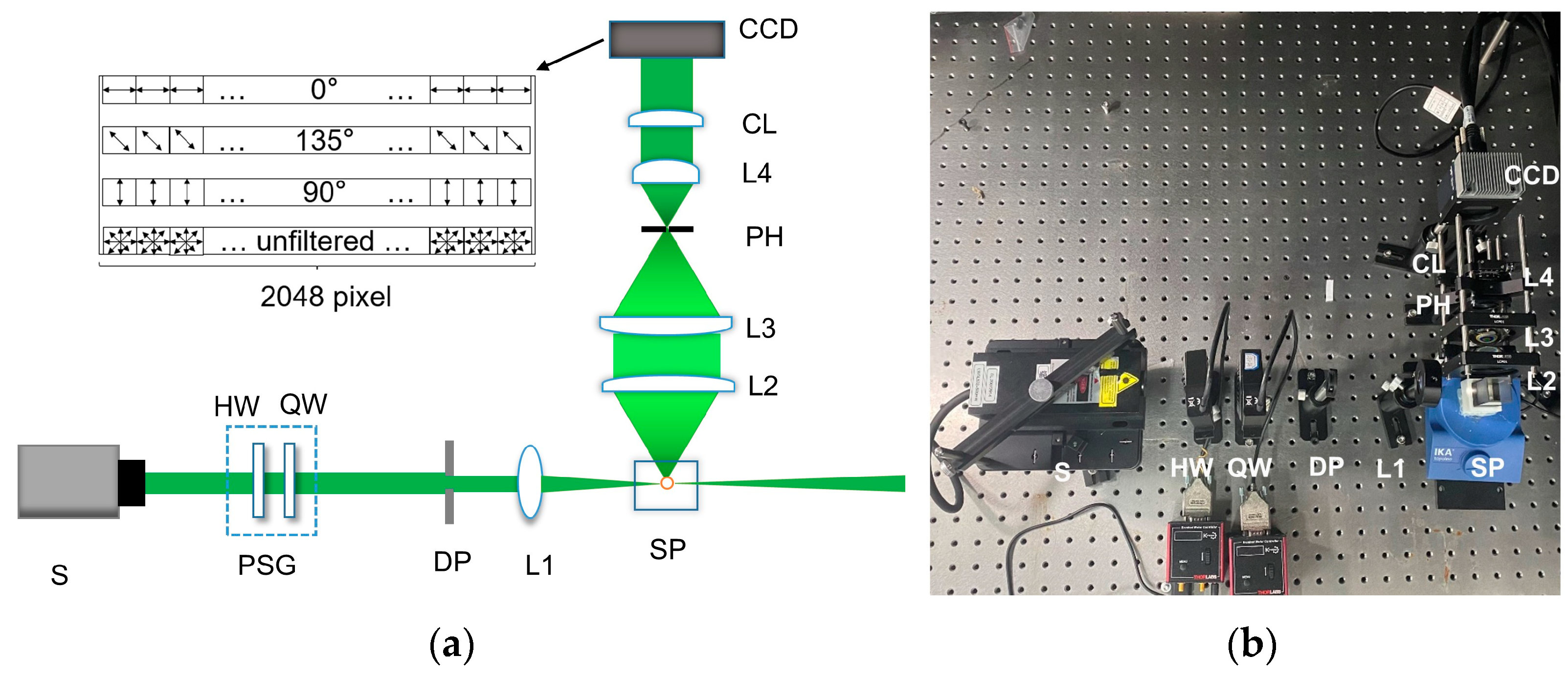 Biosensors 12 00321 g001