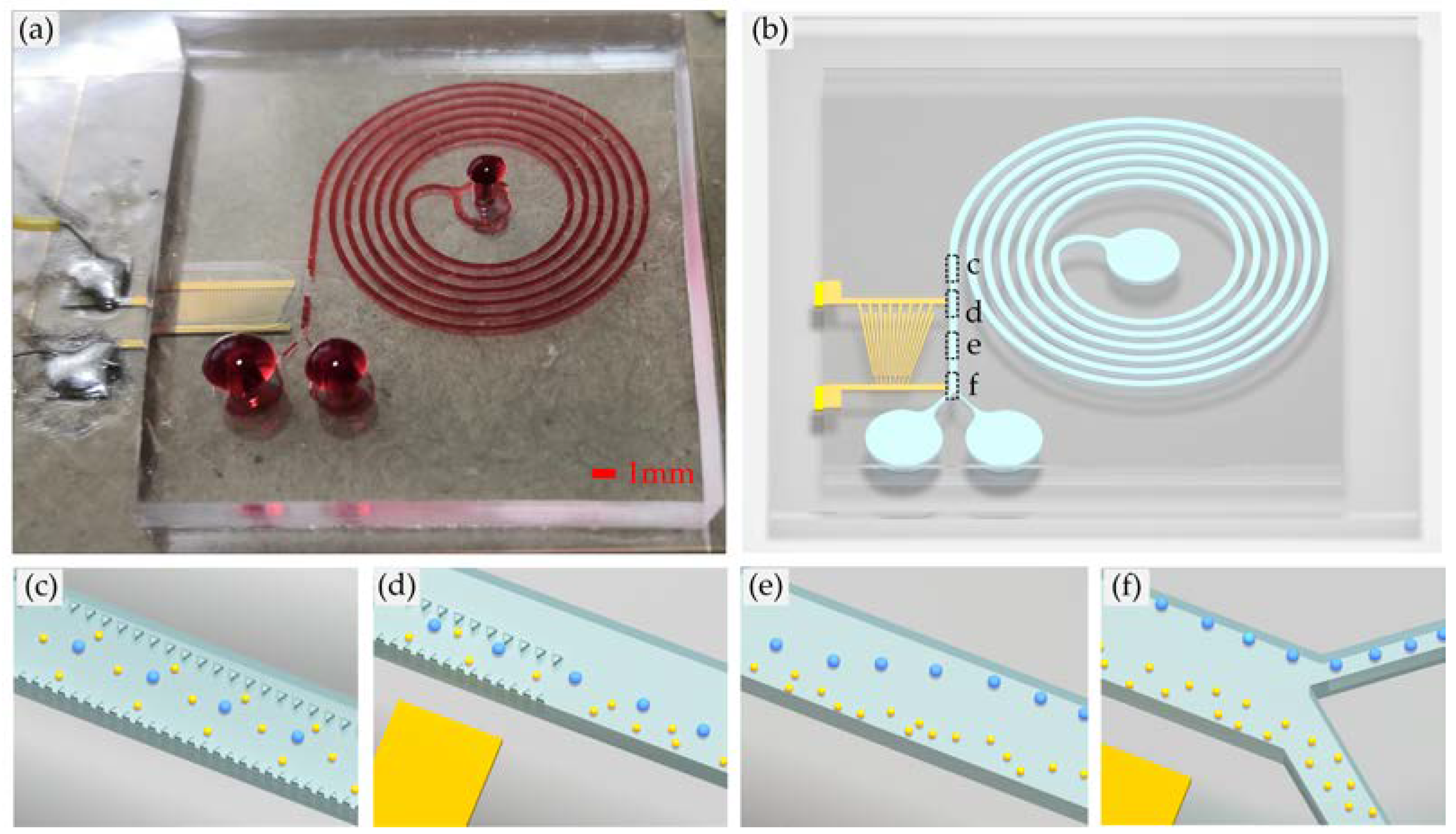 Biosensors 12 00325 g001