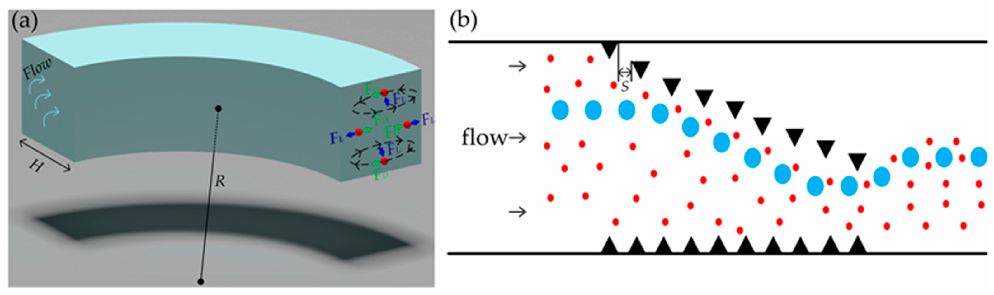 Biosensors 12 00325 g002