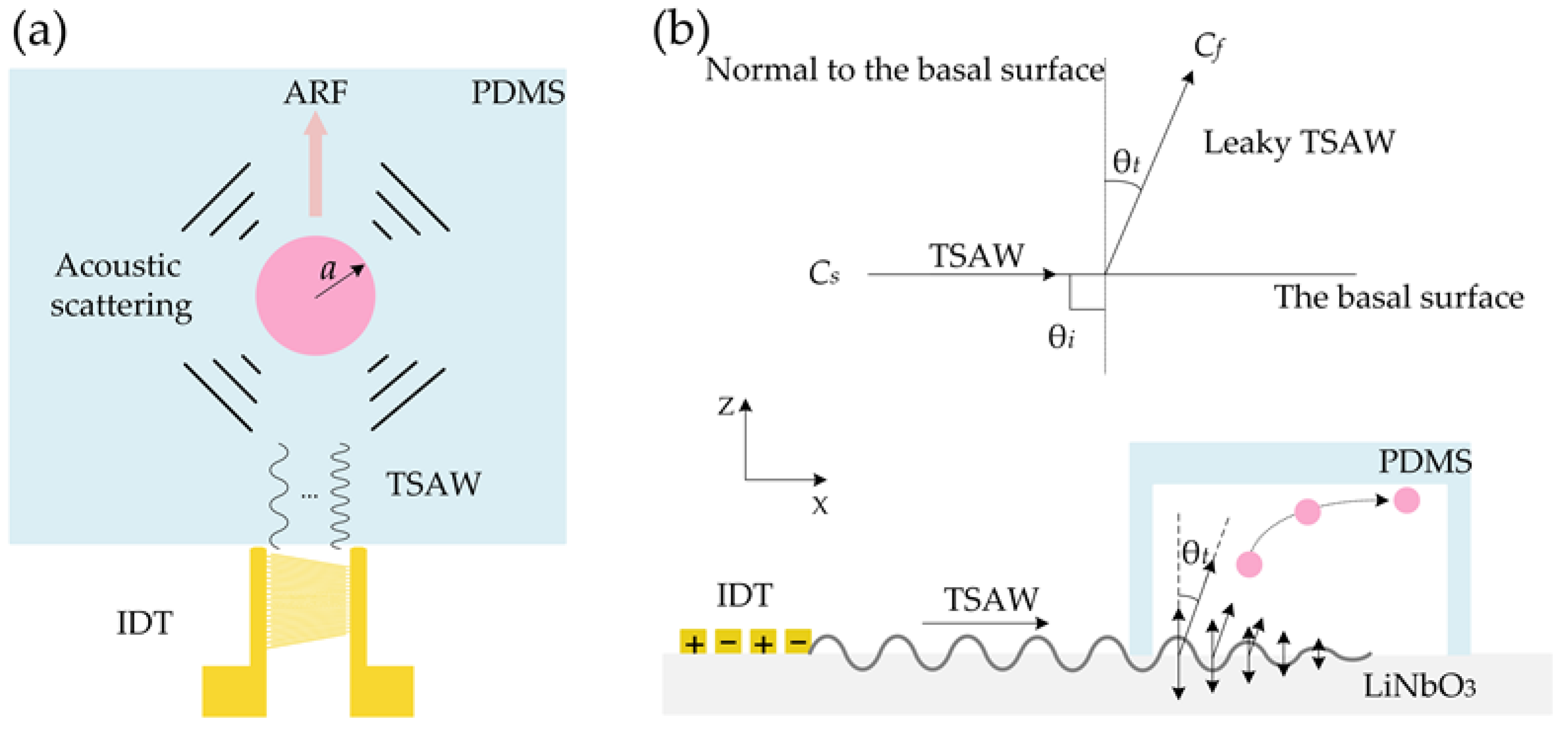 Biosensors 12 00325 g003