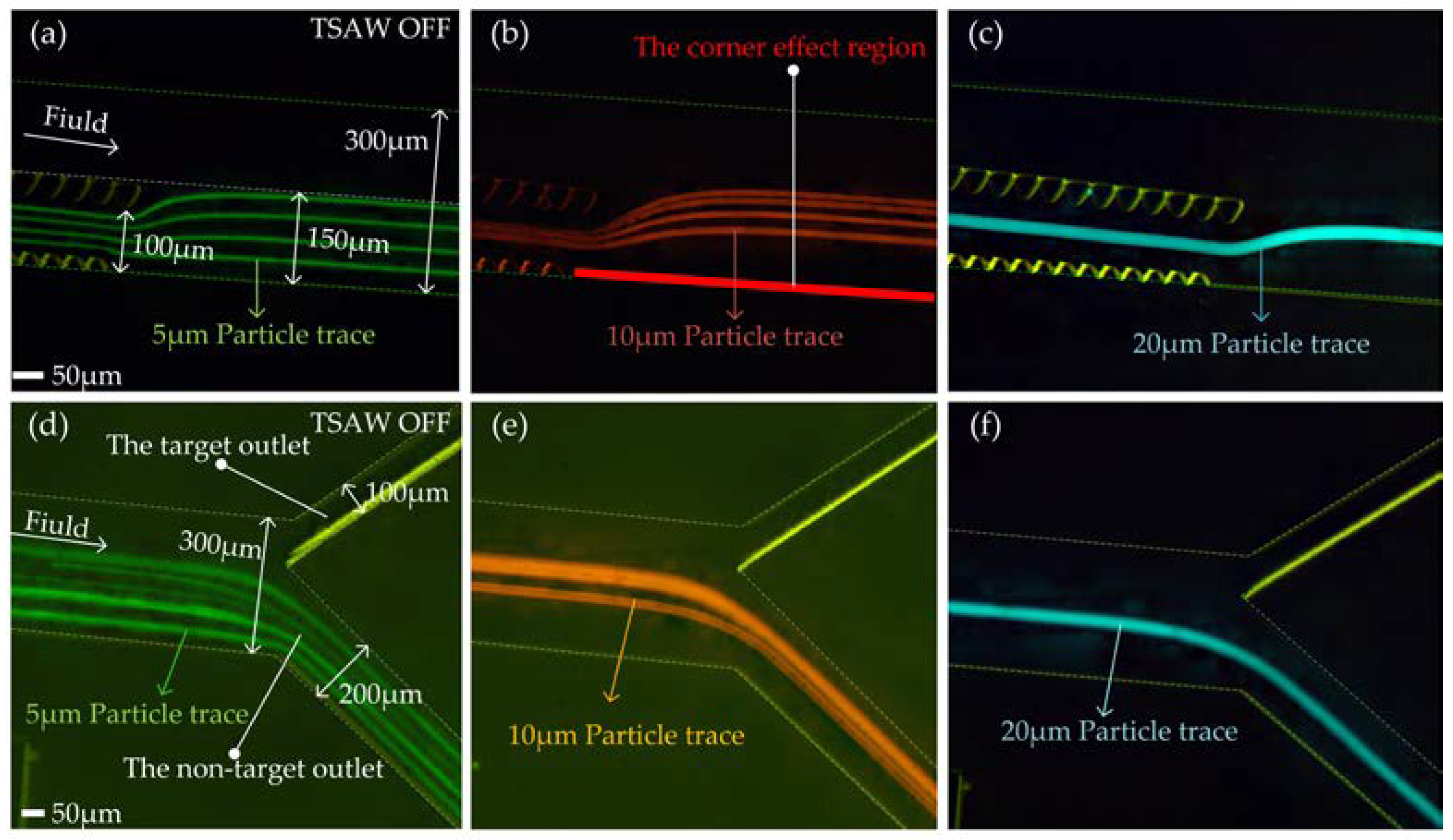 Biosensors 12 00325 g006