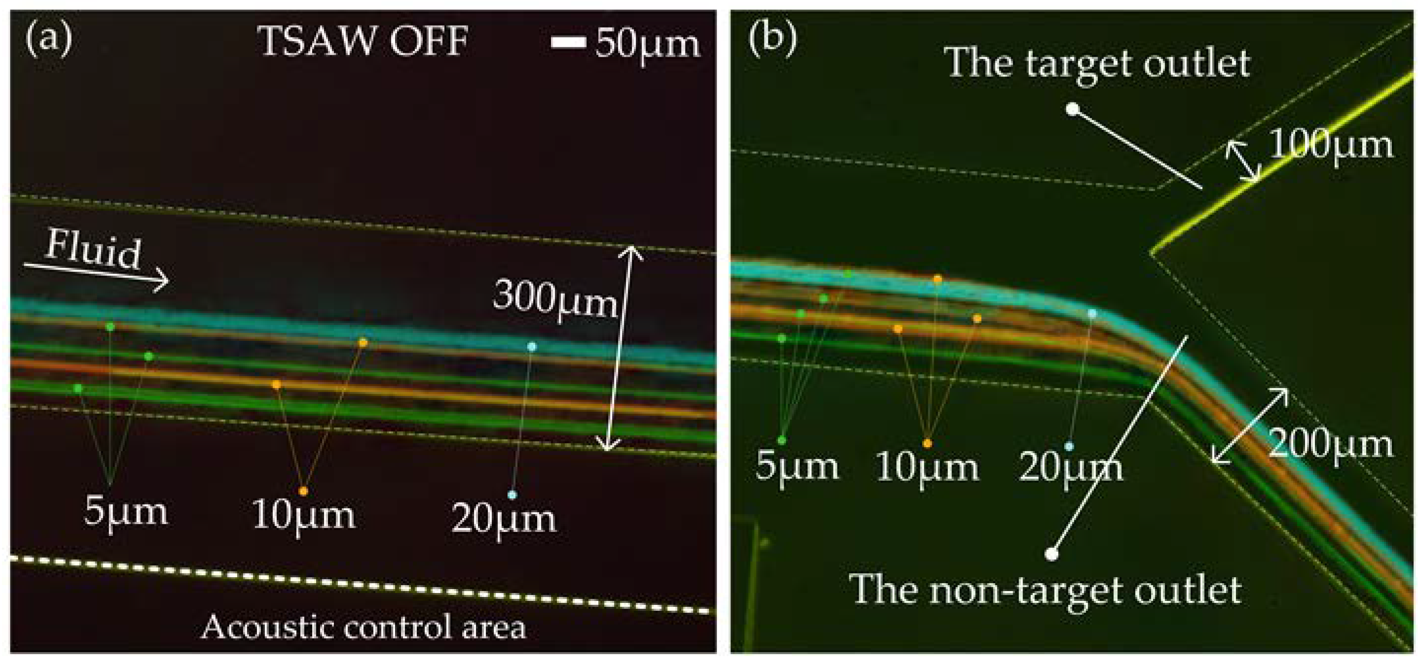 Biosensors 12 00325 g007