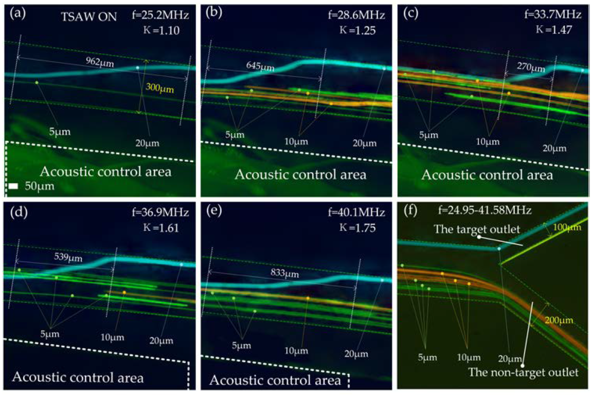 Biosensors 12 00325 g008