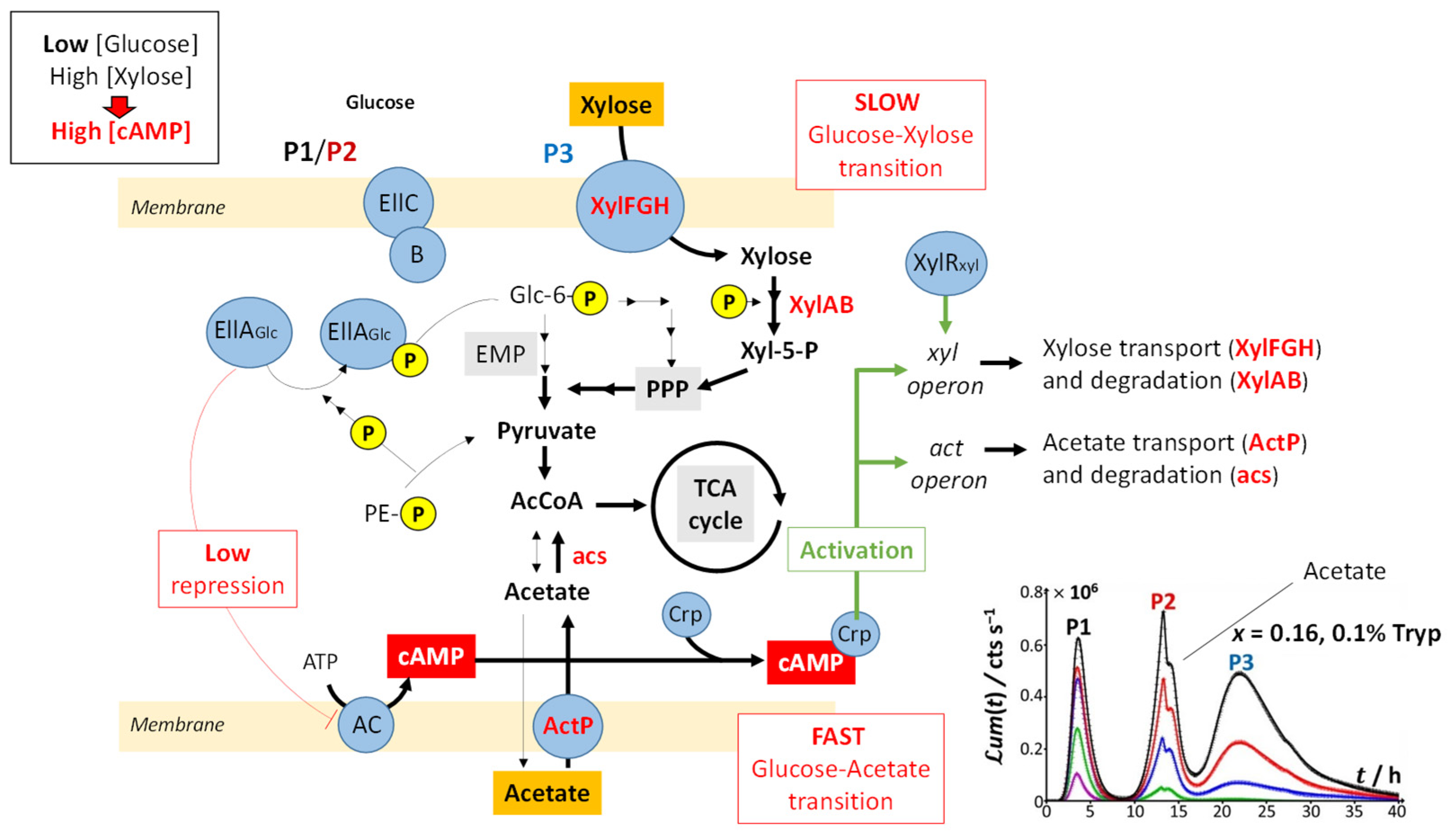 Biosensors 12 00327 g009