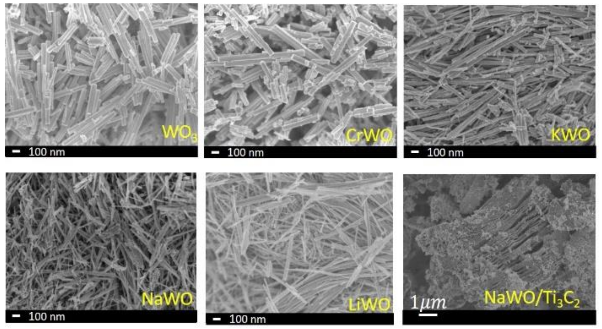 Biosensors 12 00332 g001