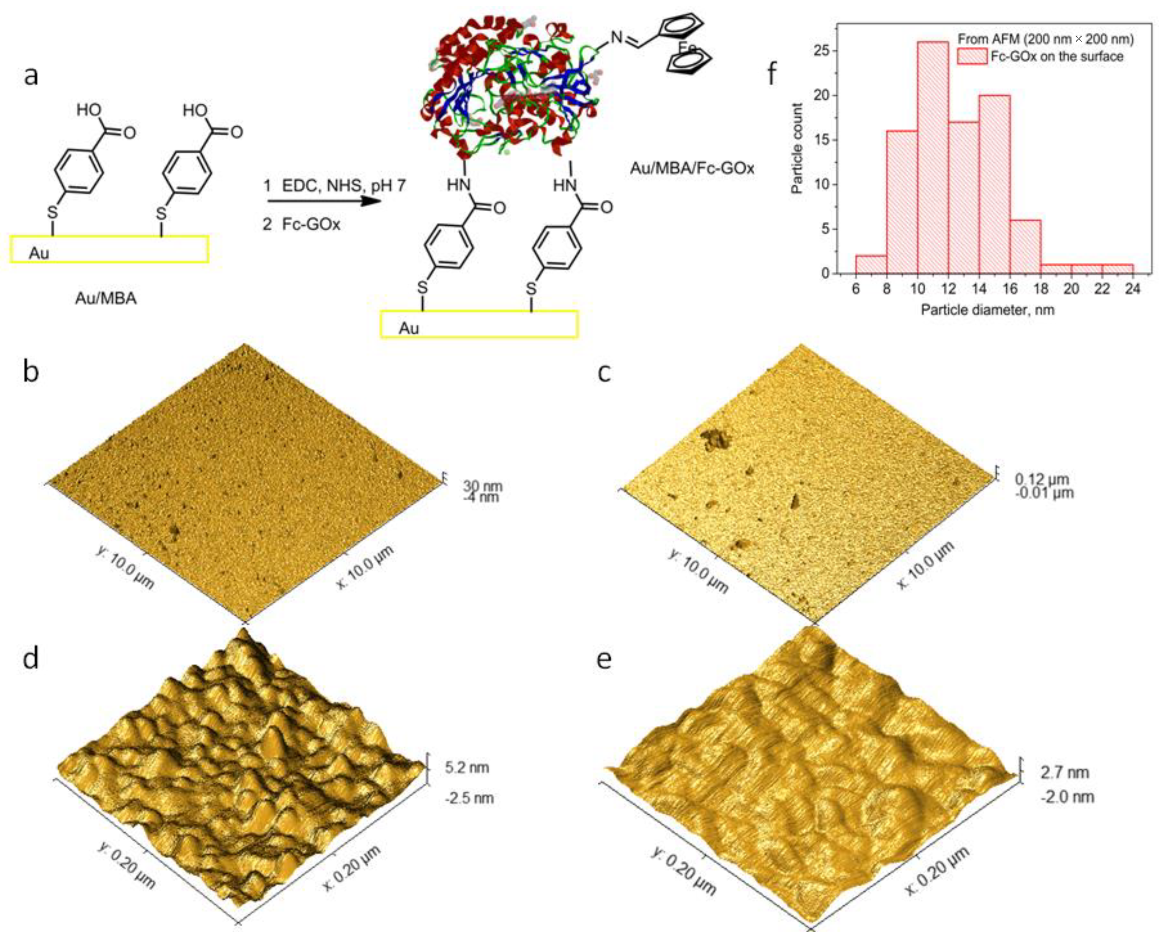 Biosensors 12 00335 g002