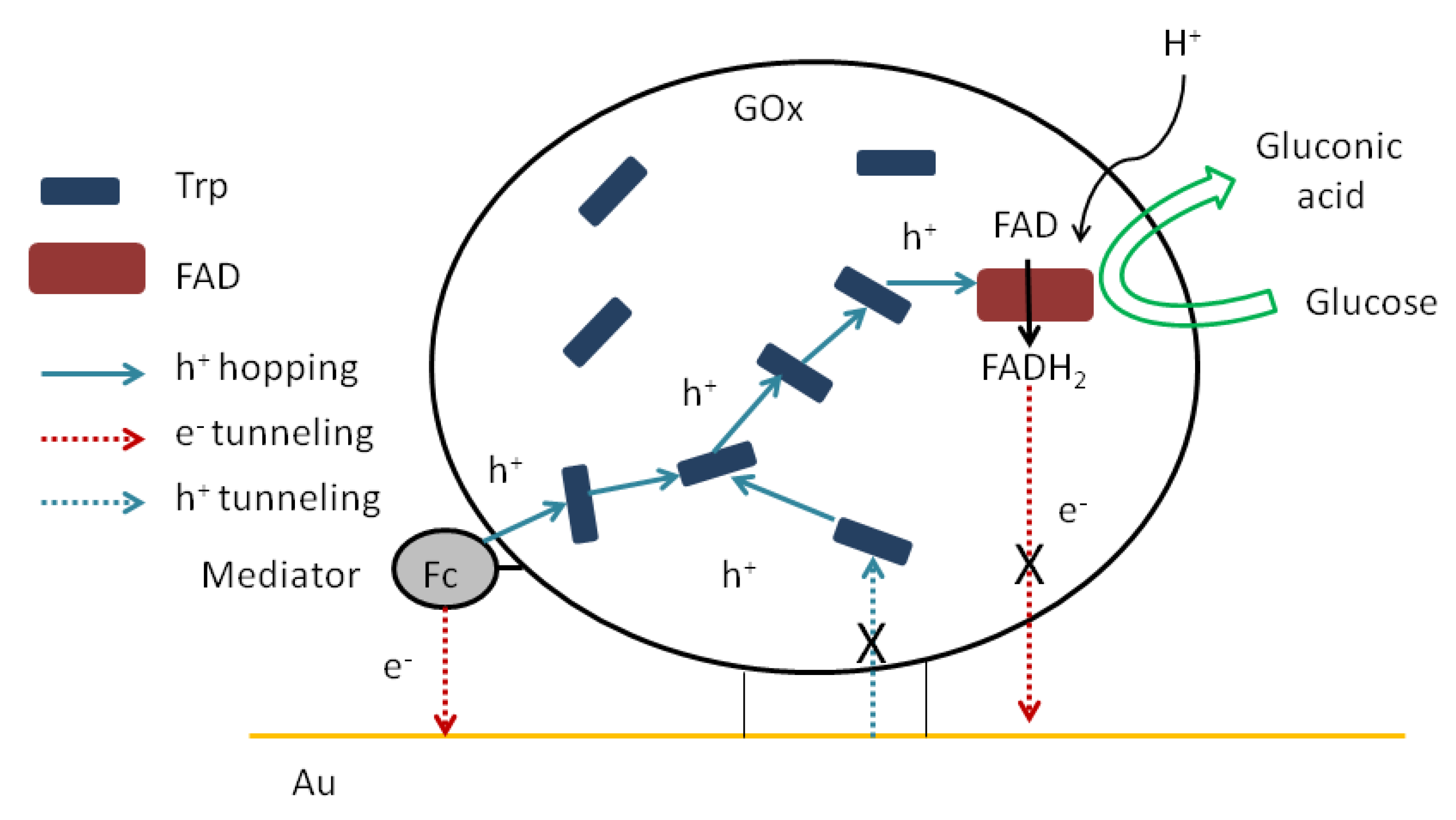 Biosensors 12 00335 sch001