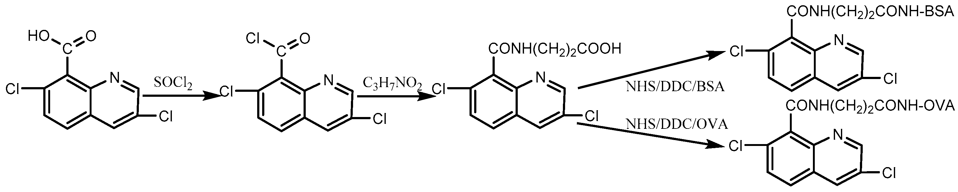 Biosensors 12 00338 g001