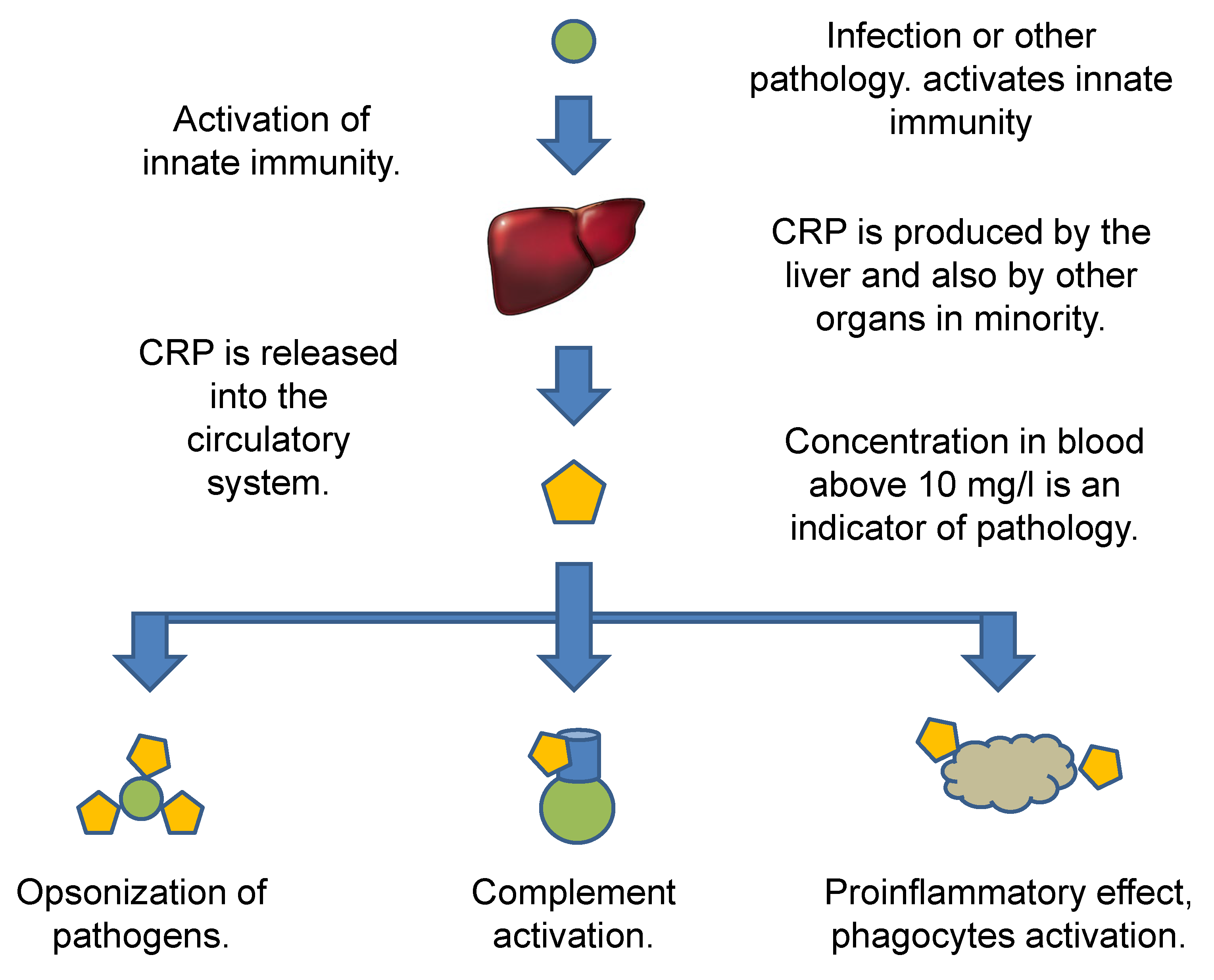 Biosensors 12 00344 g002