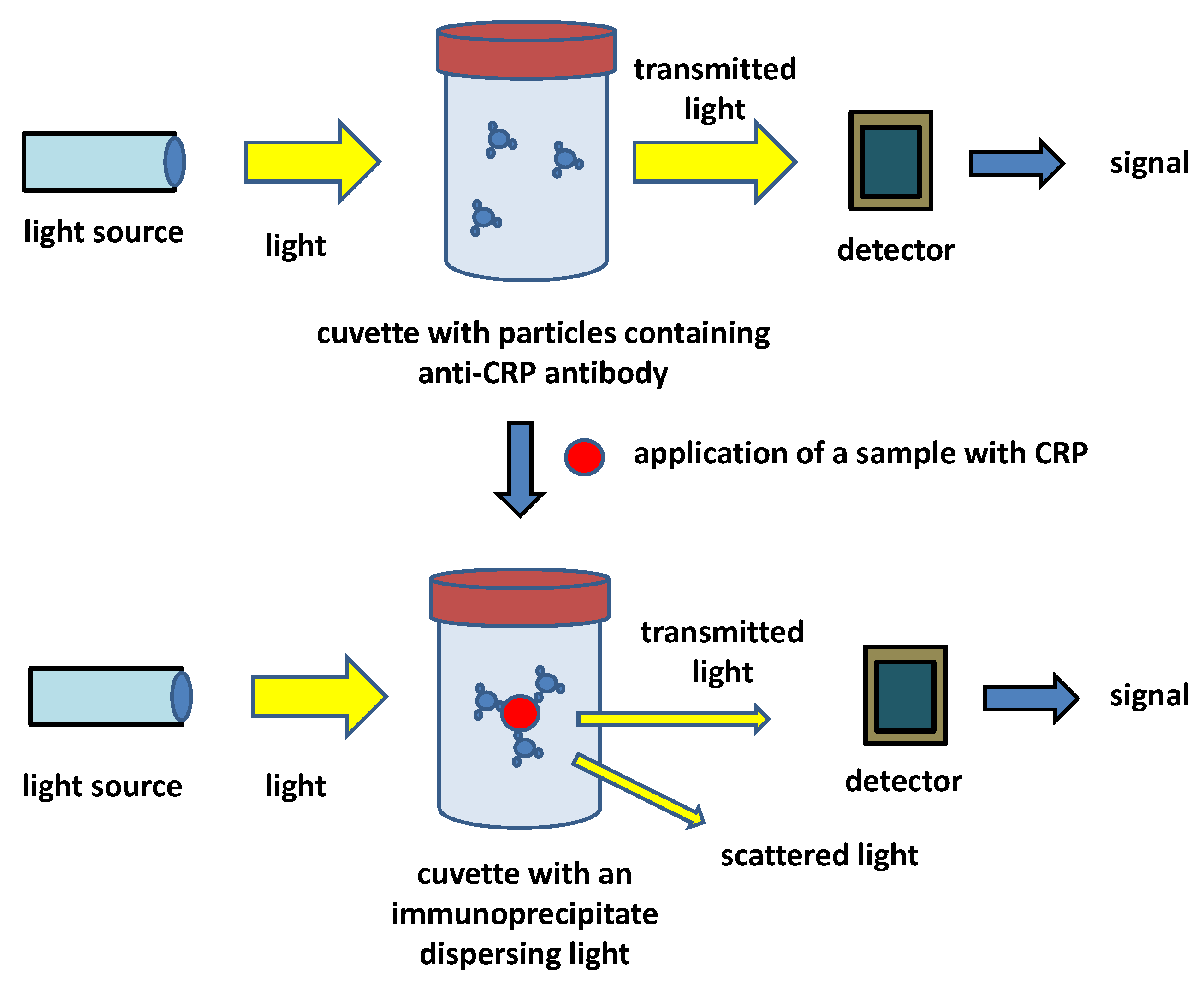 Biosensors 12 00344 g003