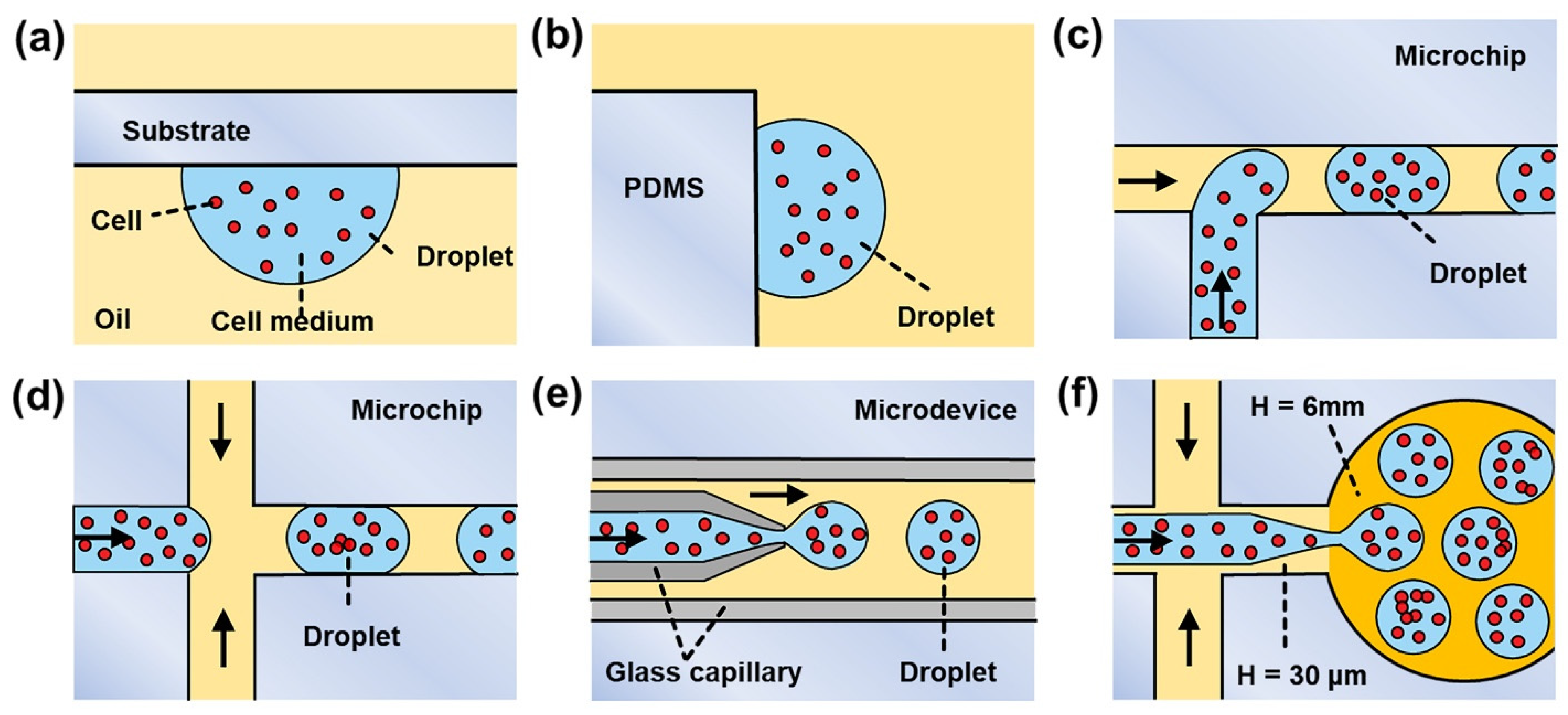 Biosensors 12 00350 g001