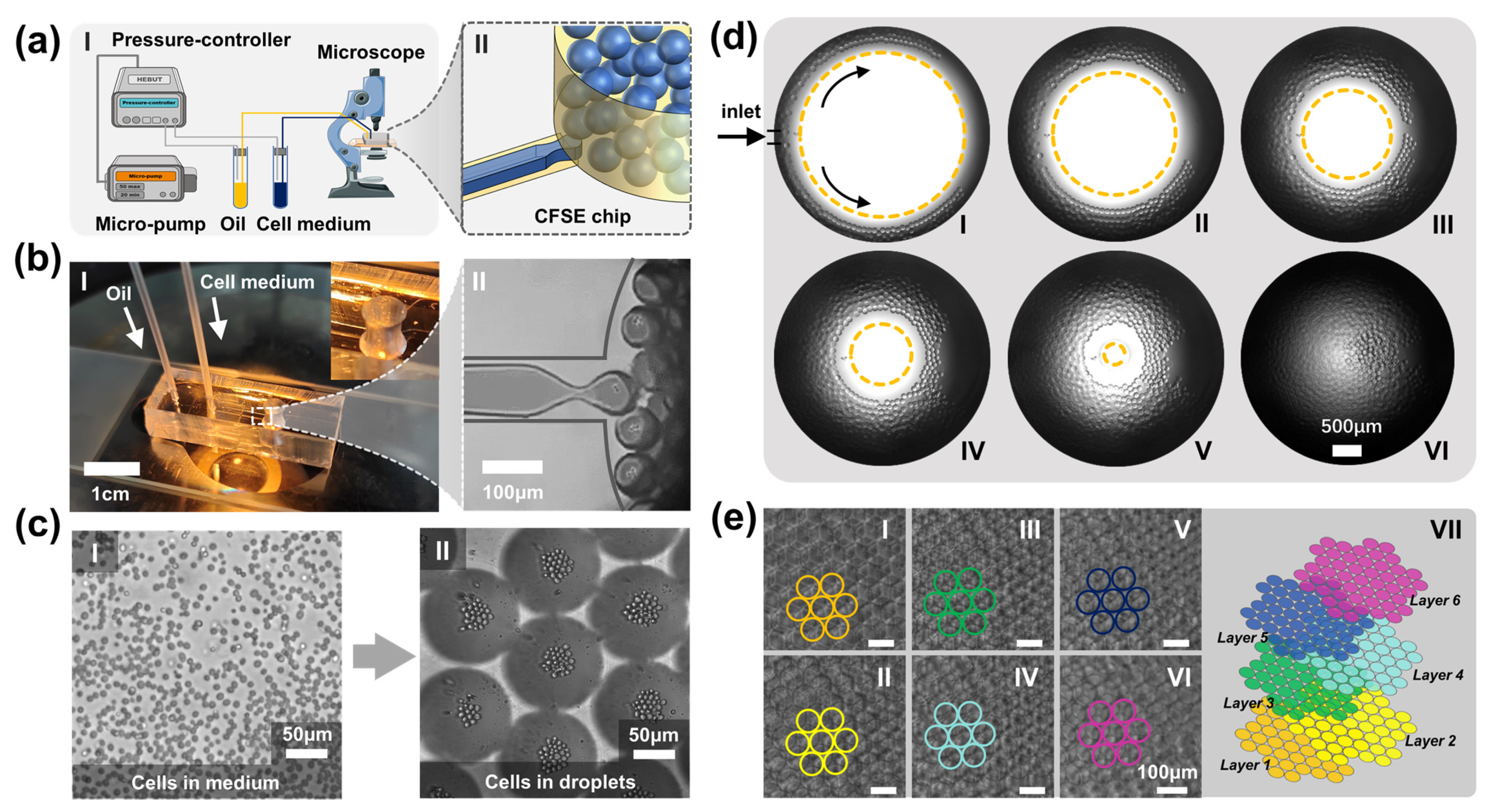 Biosensors 12 00350 g003
