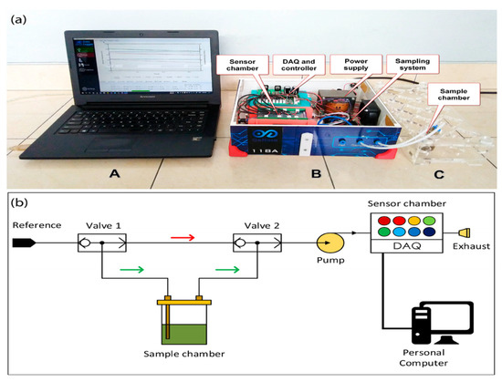 Biosensors 12 00356 g002 550