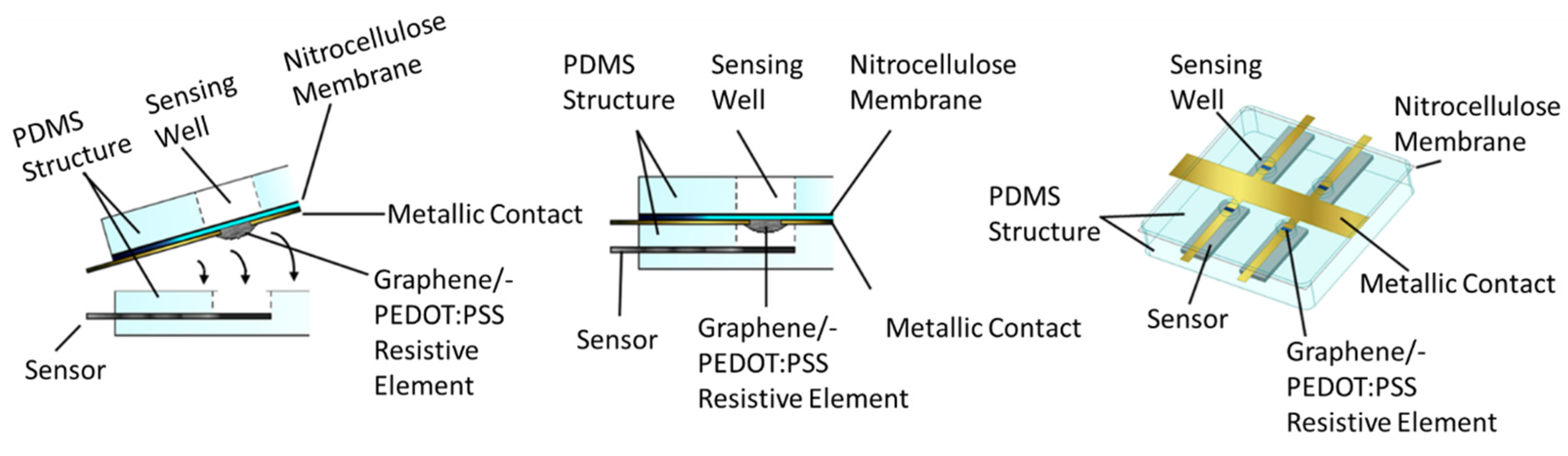 Biosensors 12 00358 g004 Biosensors 12 00358 g004