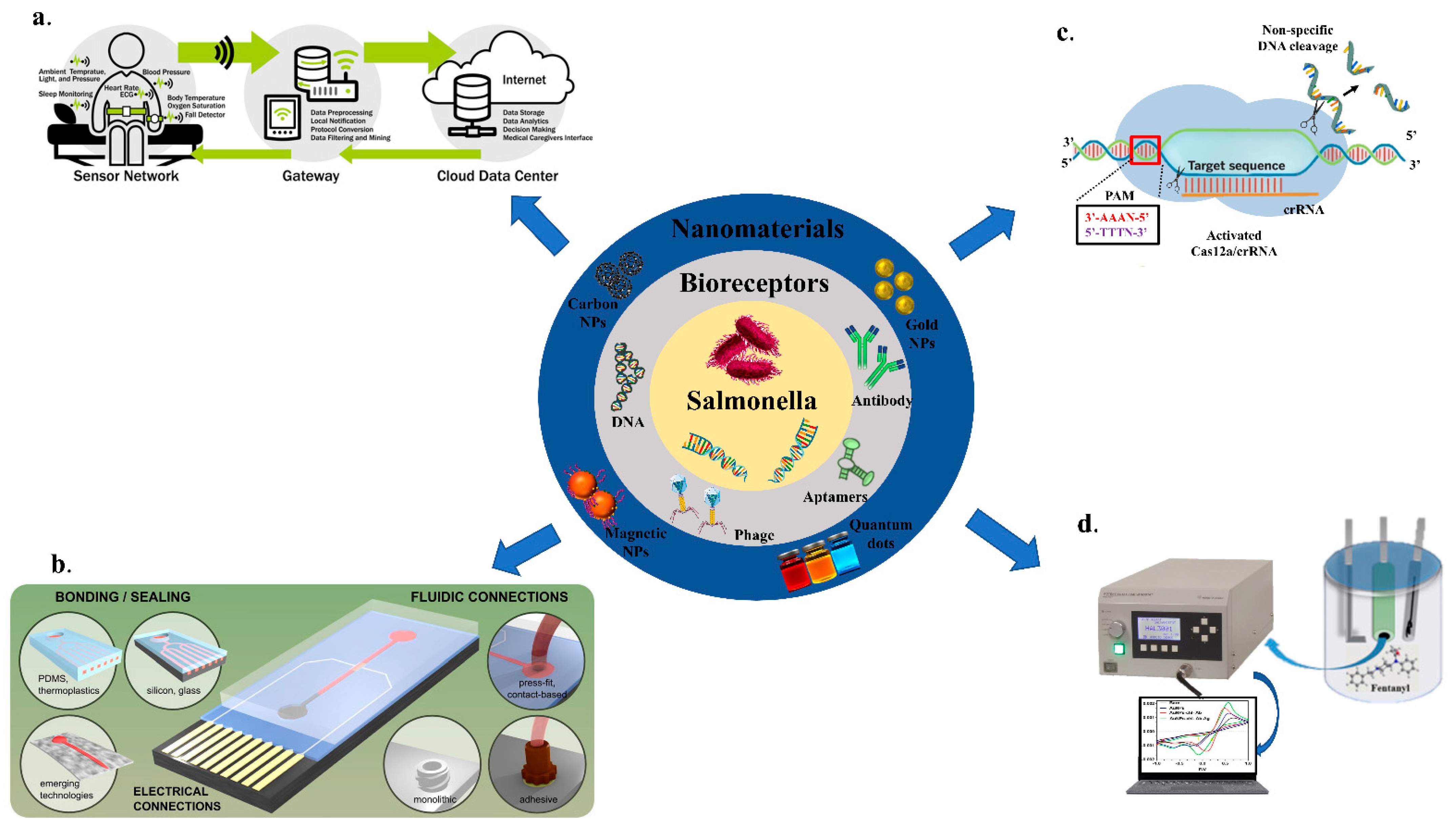 Biosensors 12 00365 g001
