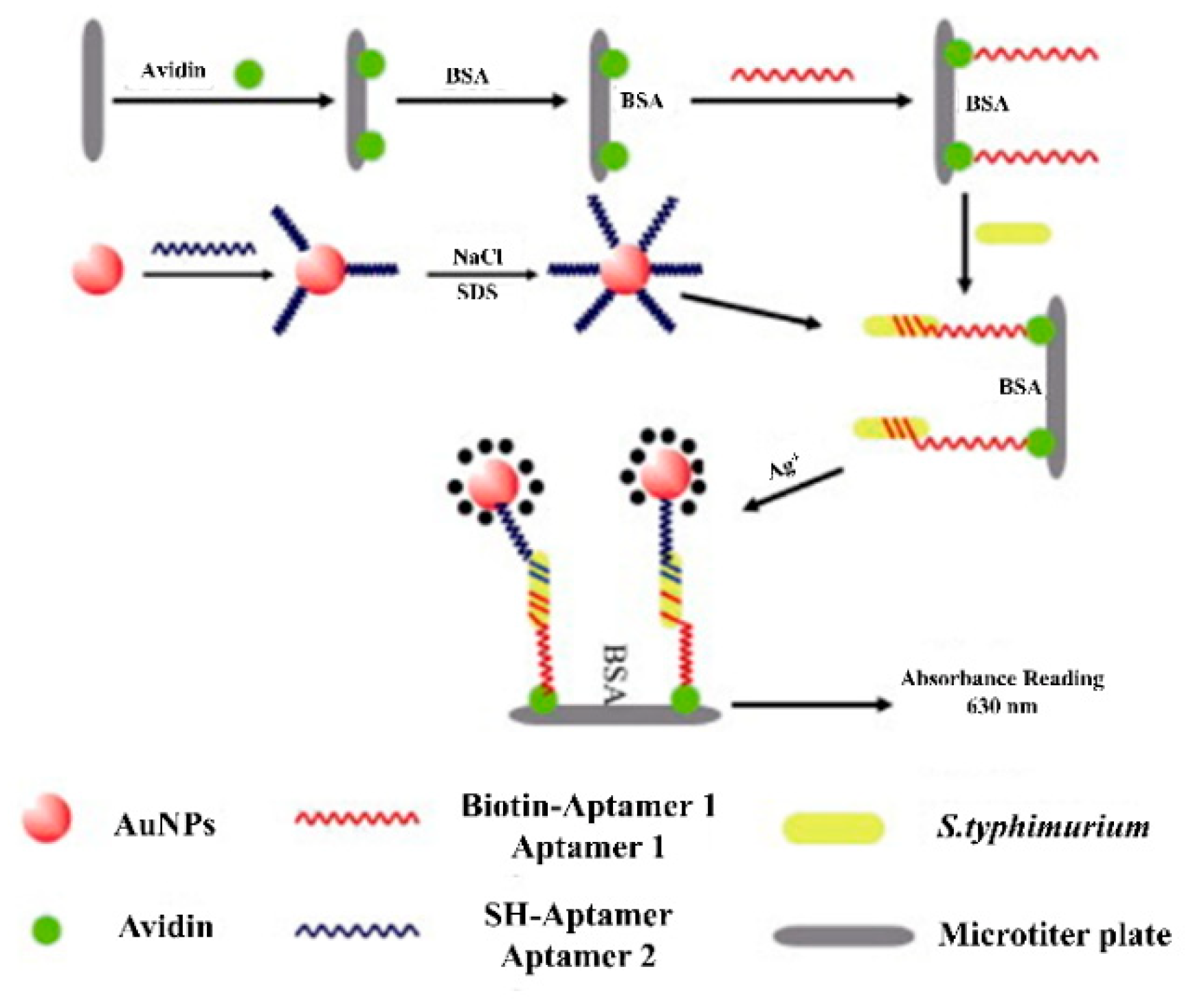Biosensors 12 00365 g002
