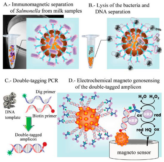 Biosensors 12 00365 g005 550