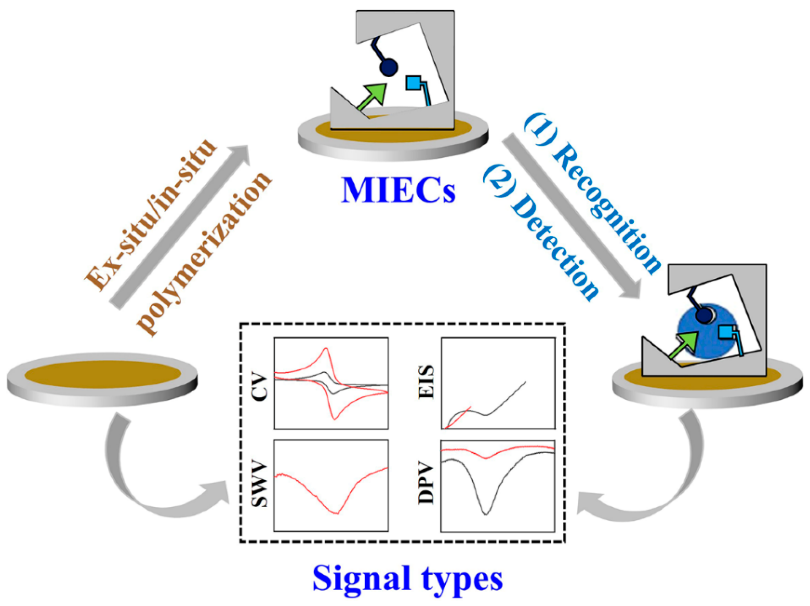 Biosensors 12 00369 g002