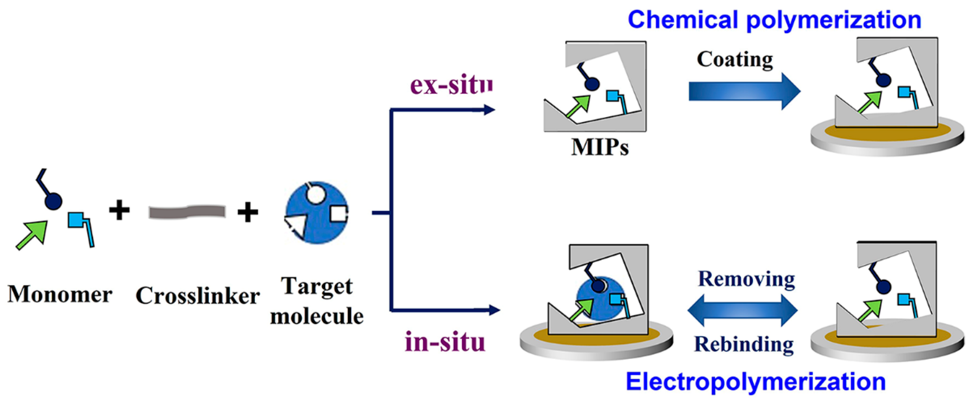Biosensors 12 00369 g003