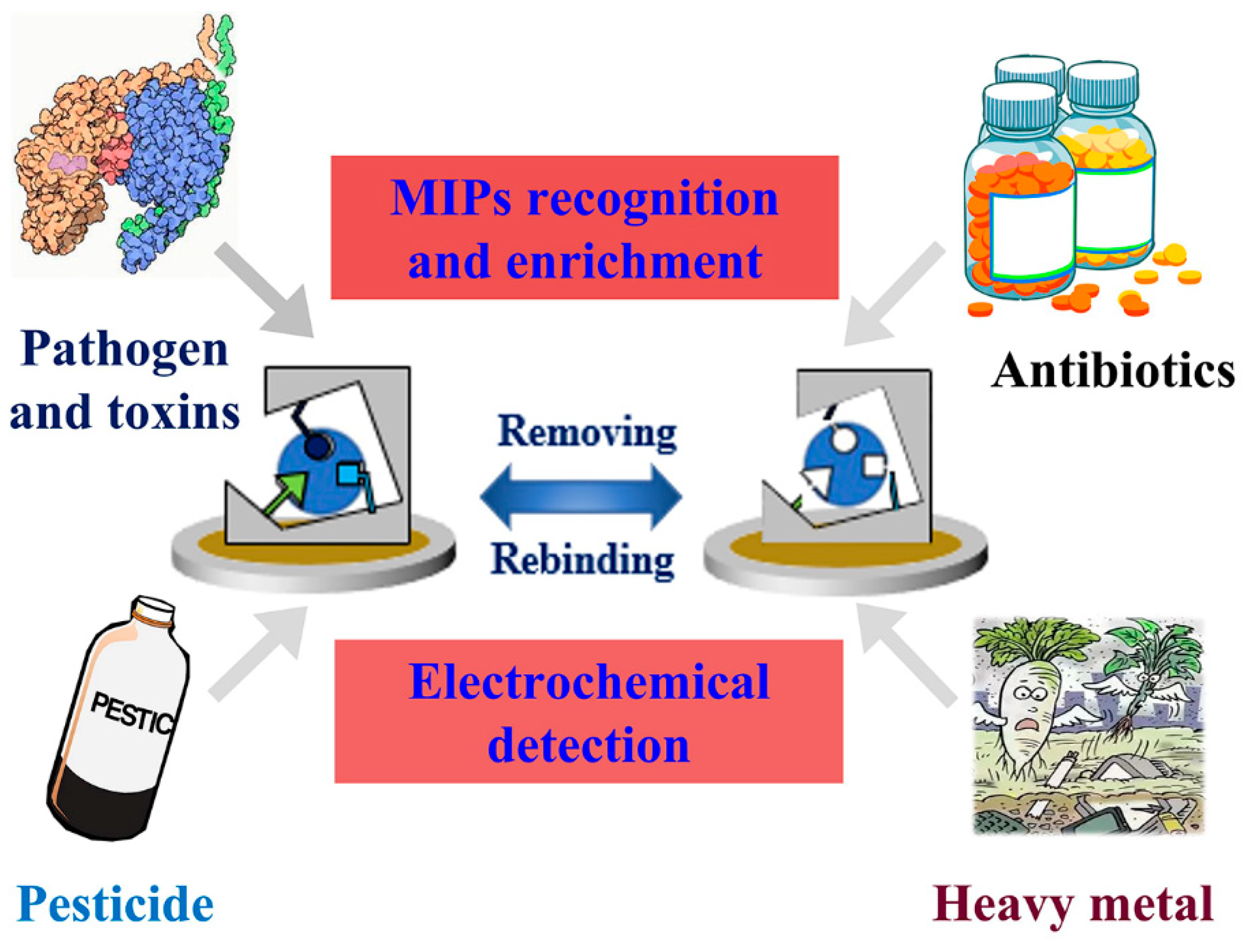 Biosensors 12 00369 g004