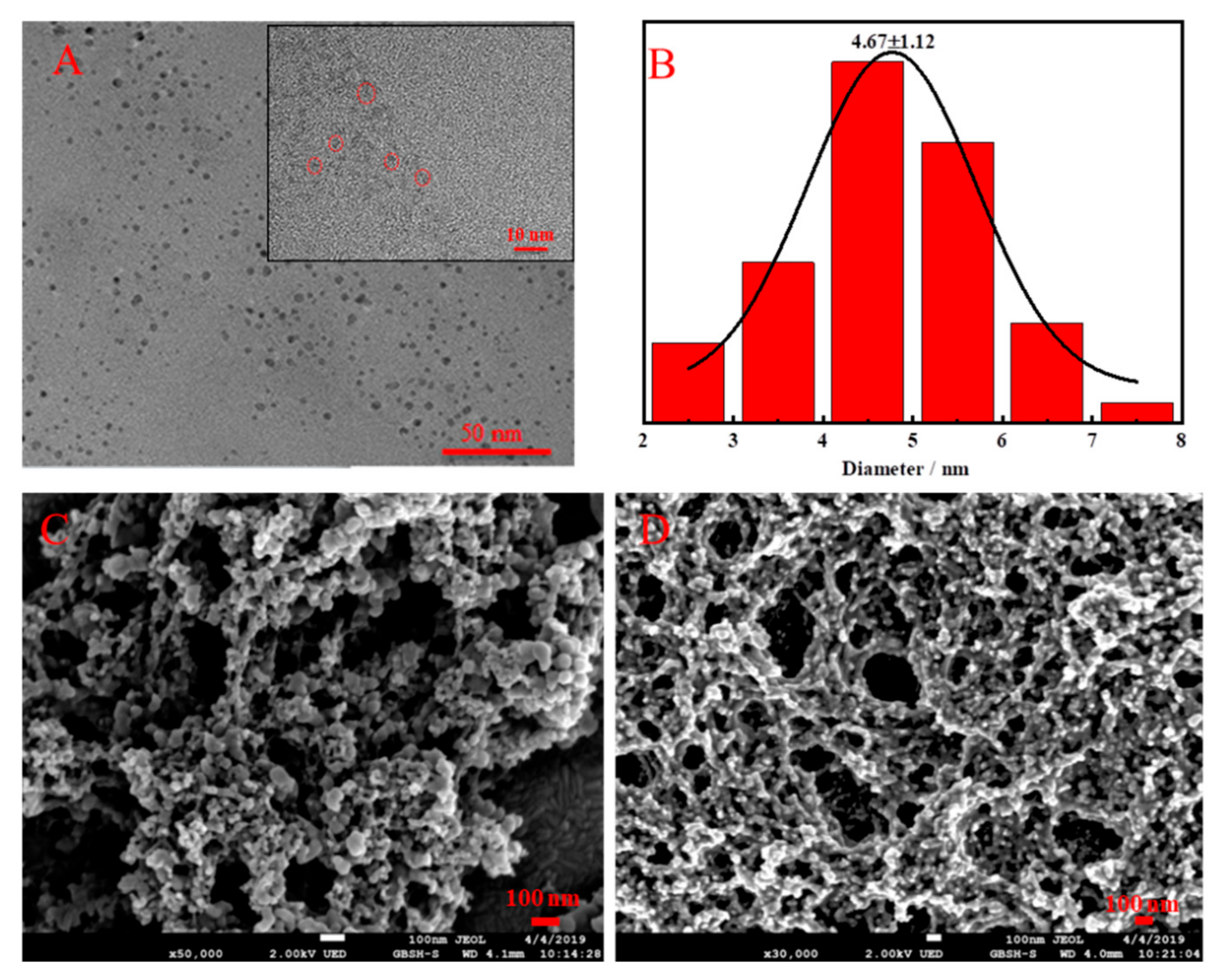 Biosensors 12 00372 g001