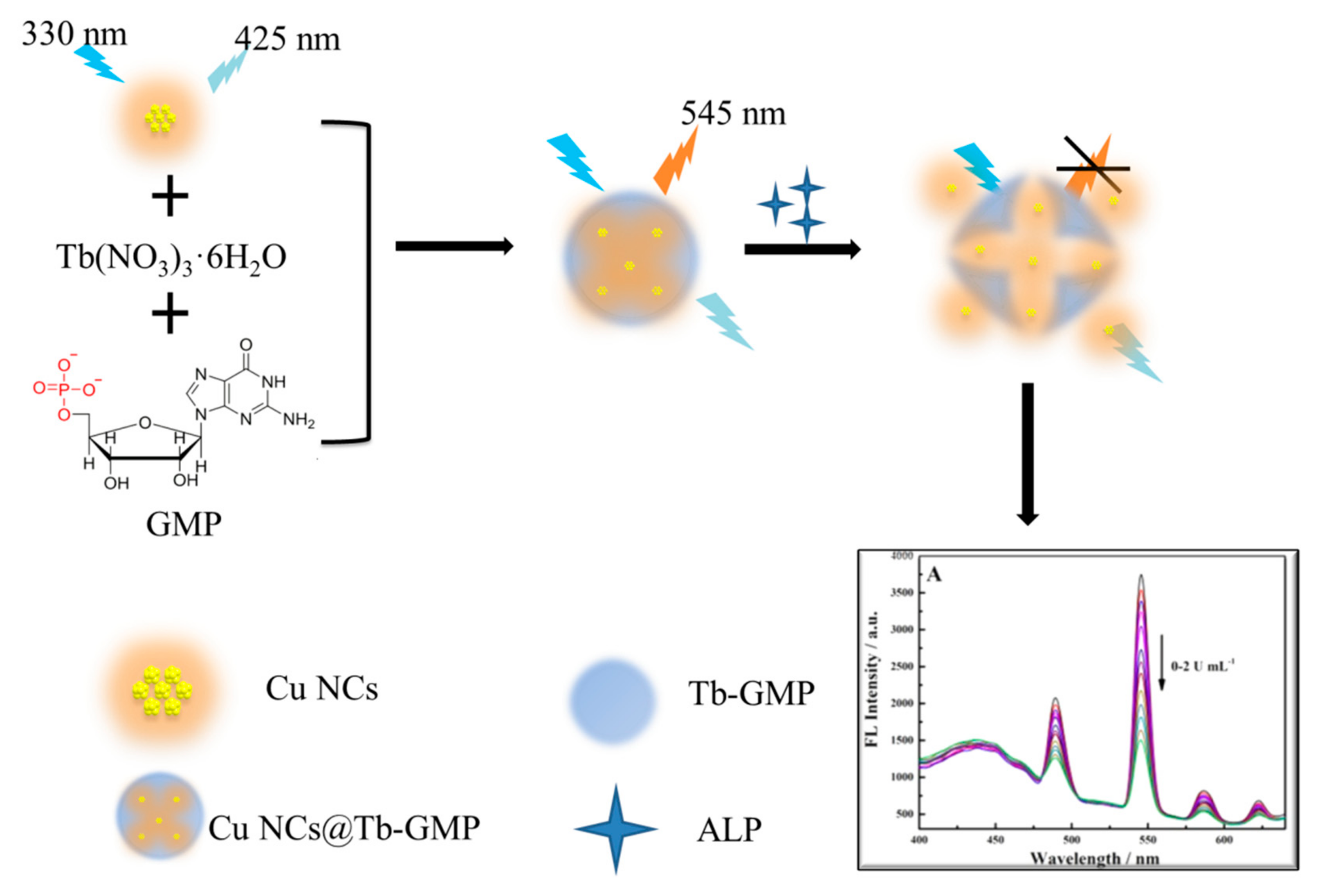 Biosensors 12 00372 sch001
