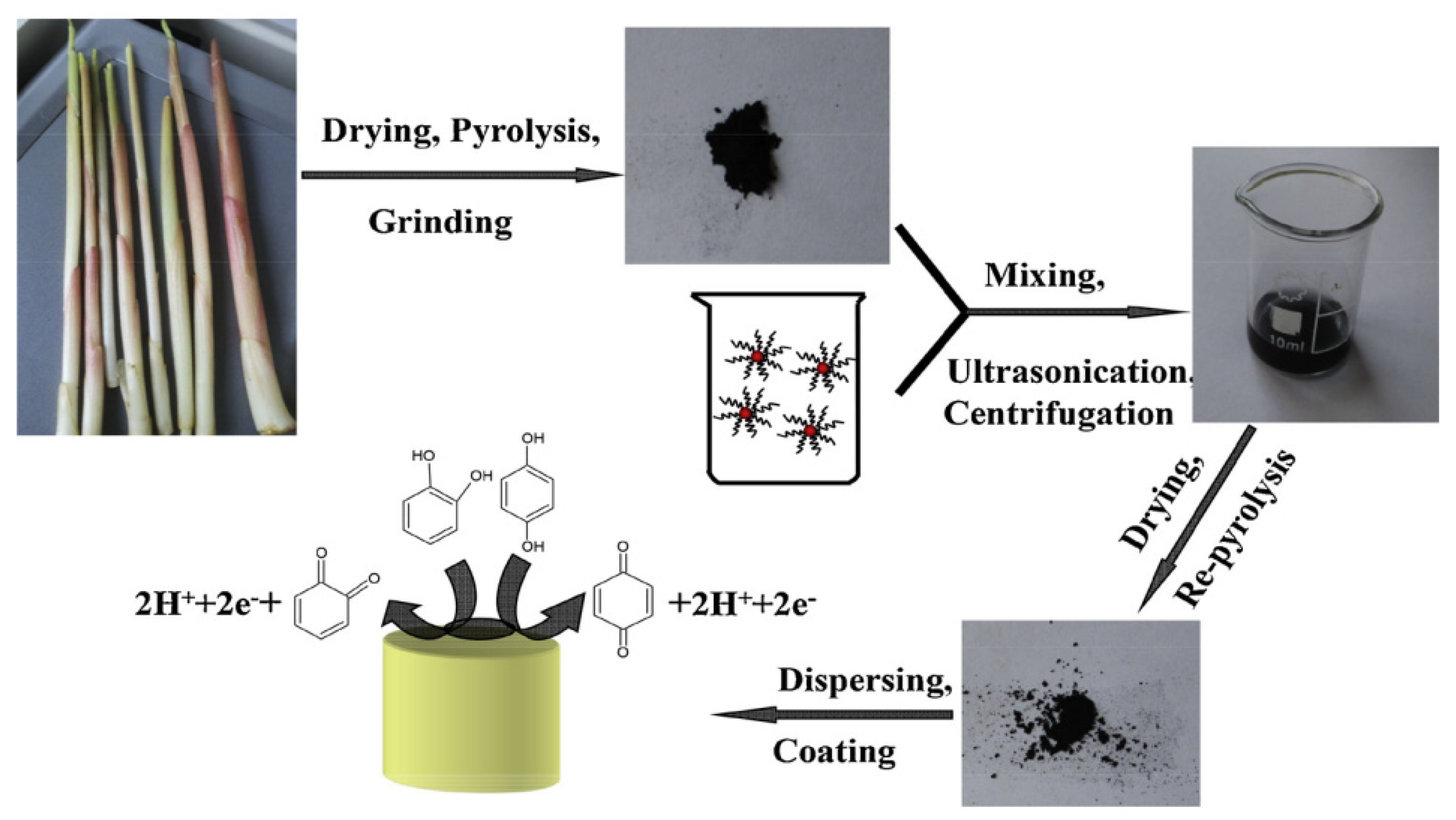 Biosensors 12 00377 g003