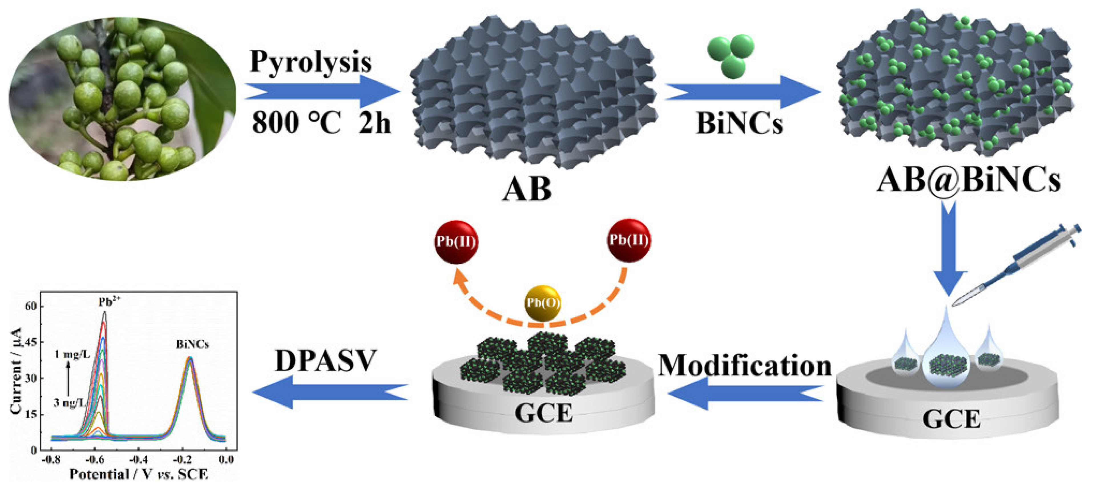 Biosensors 12 00377 g005