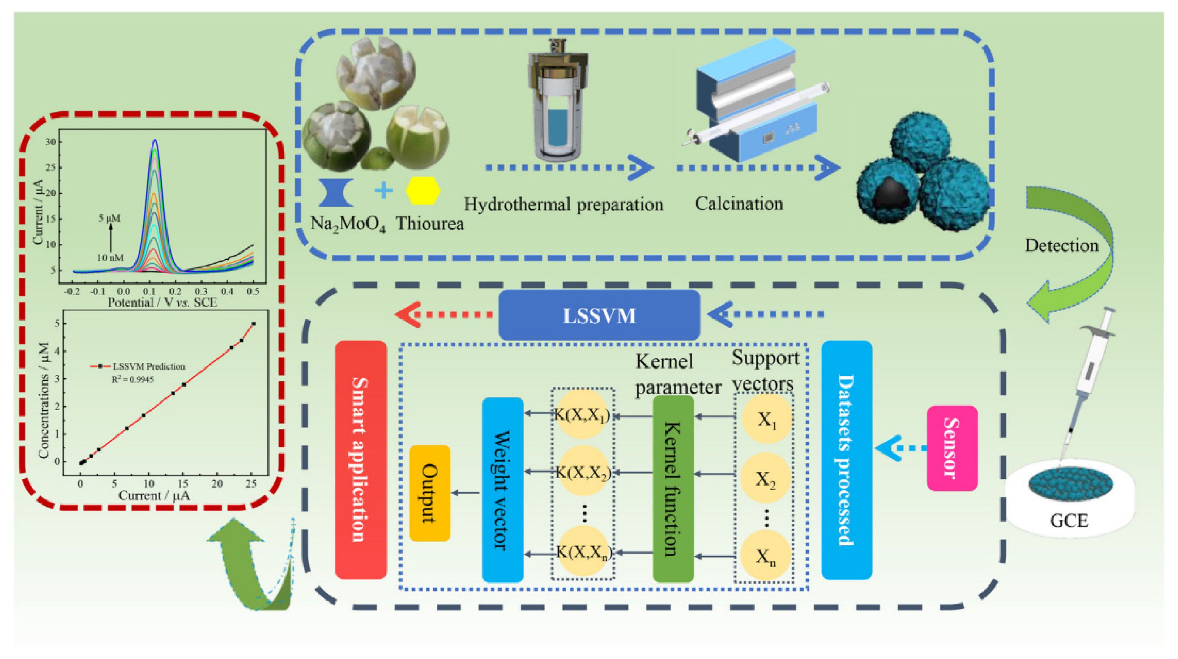 Biosensors 12 00377 g009