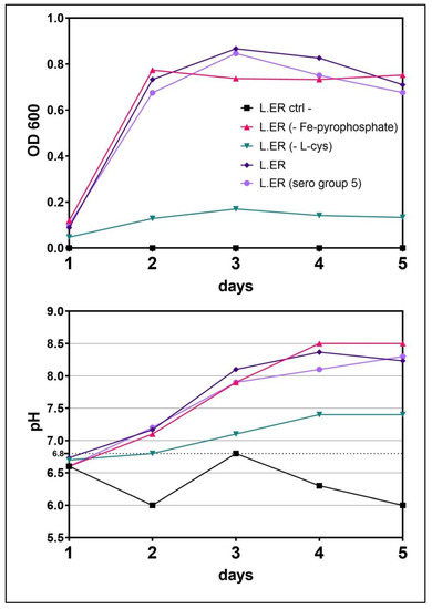 Biosensors 12 00380 g0a1