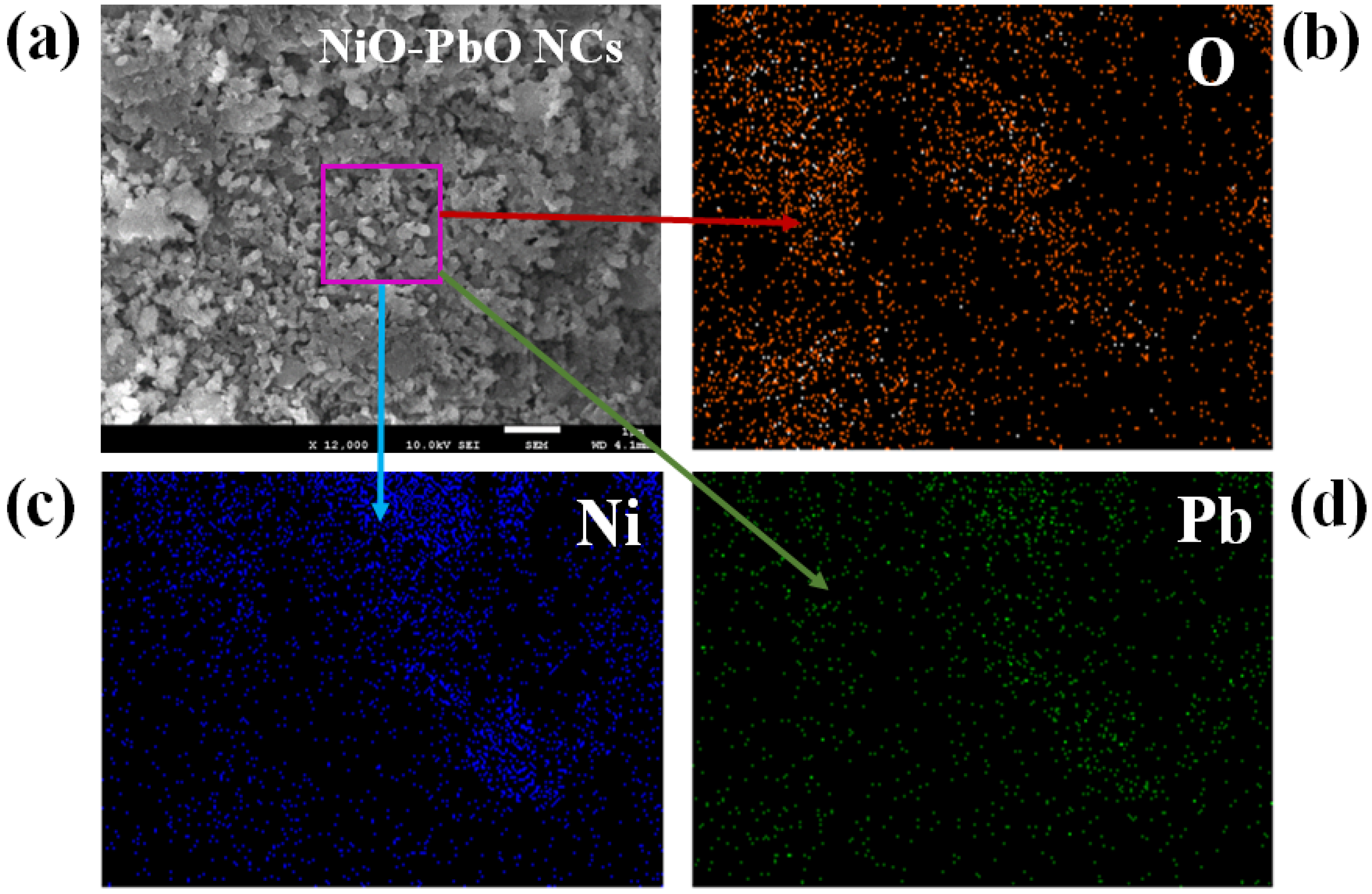 Biosensors 12 00381 g002