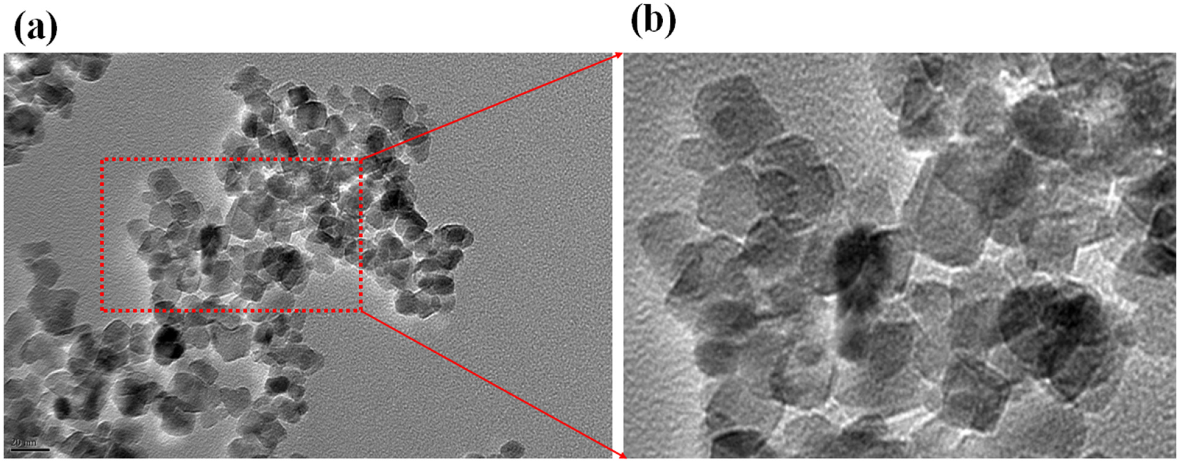 Biosensors 12 00381 g005