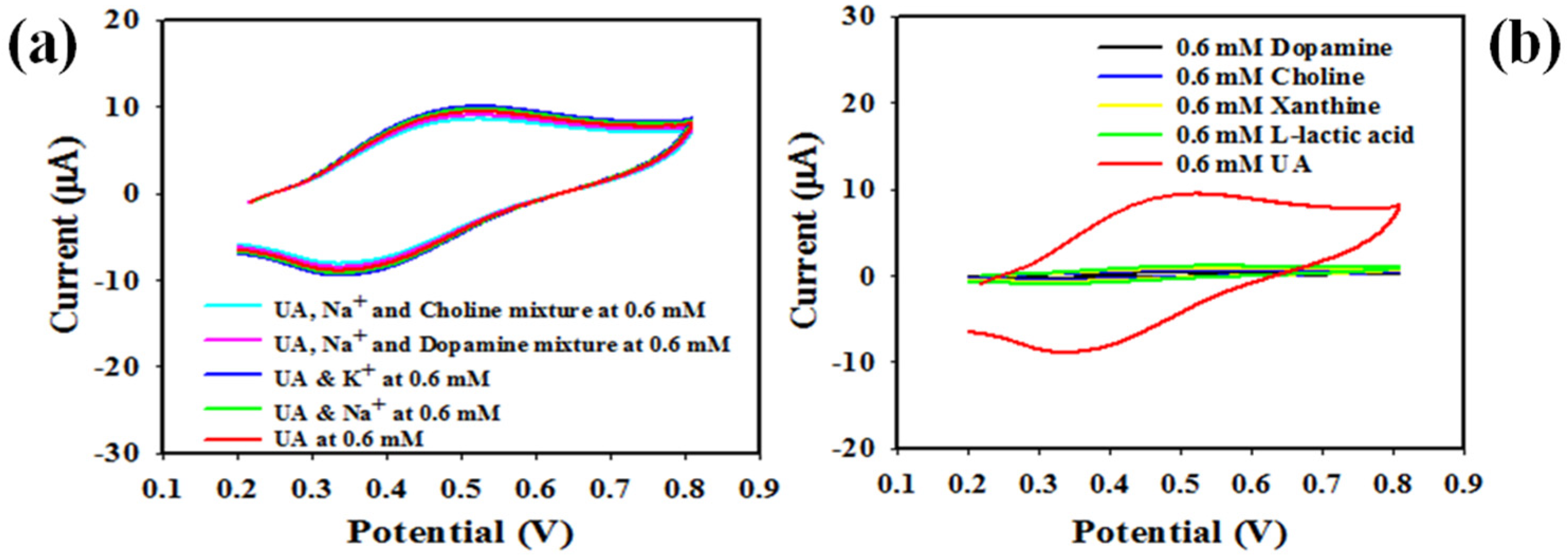 Biosensors 12 00381 g012