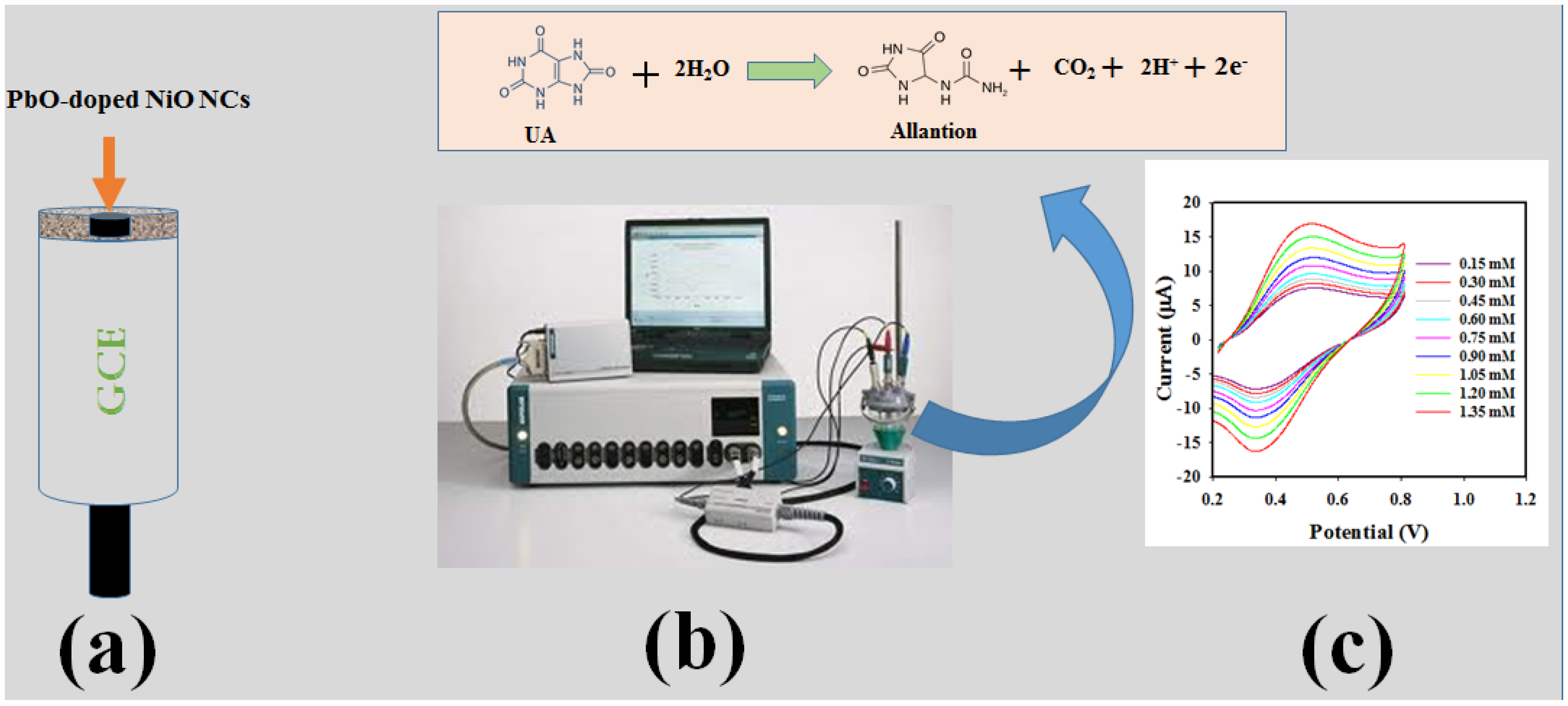 Biosensors 12 00381 sch001