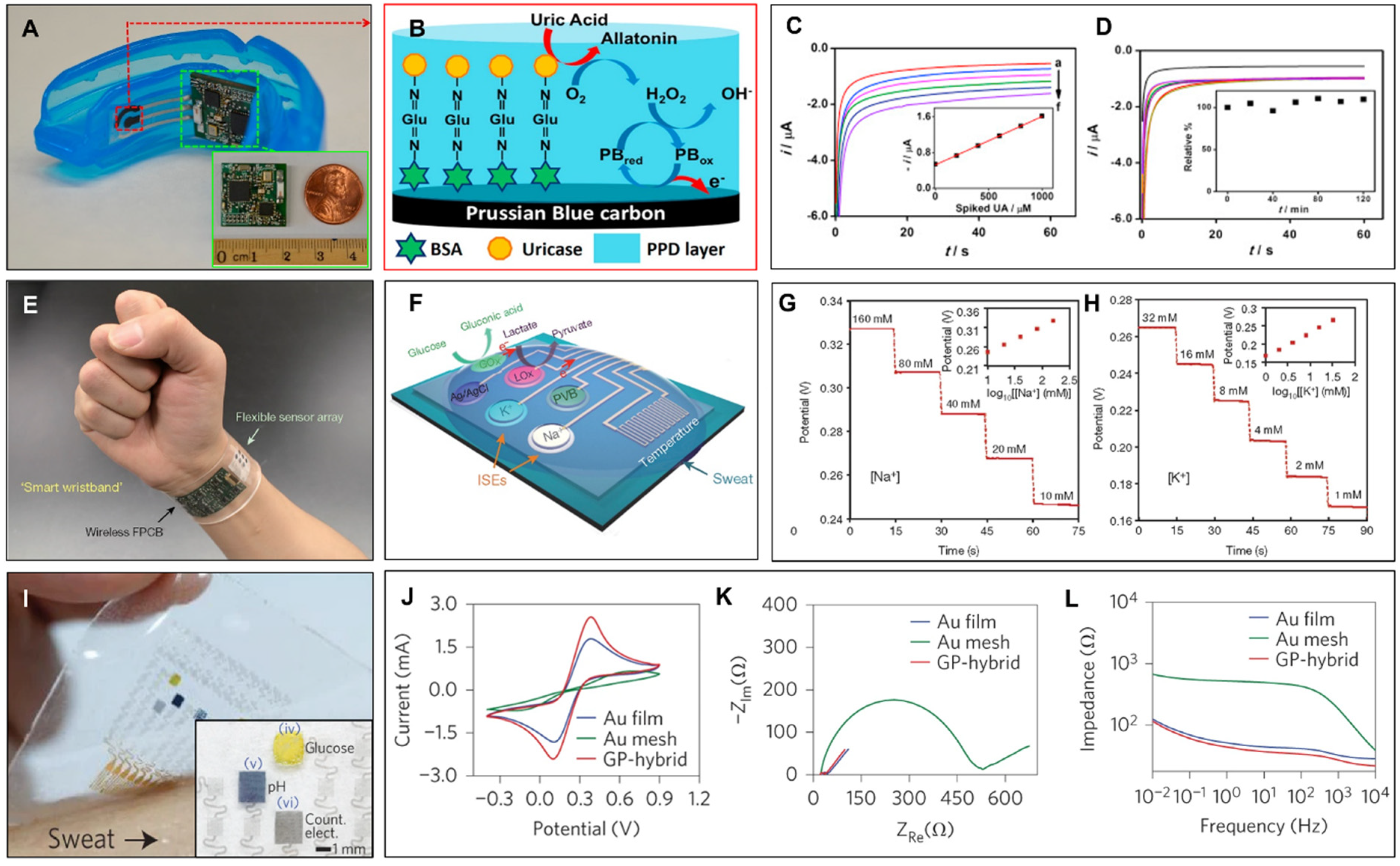 Biosensors 12 00385 g003
